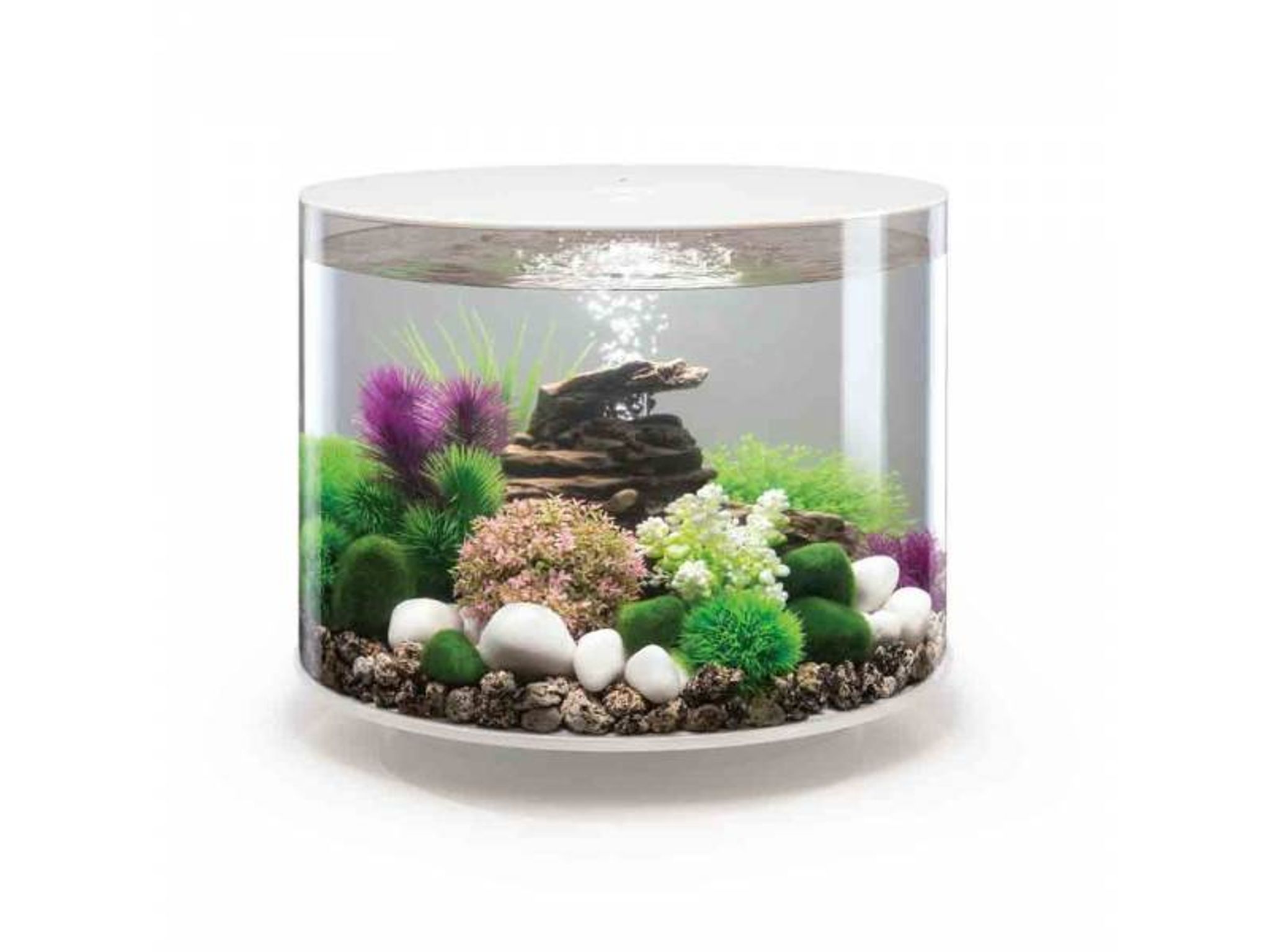 Biorb Tube 35 MCR White