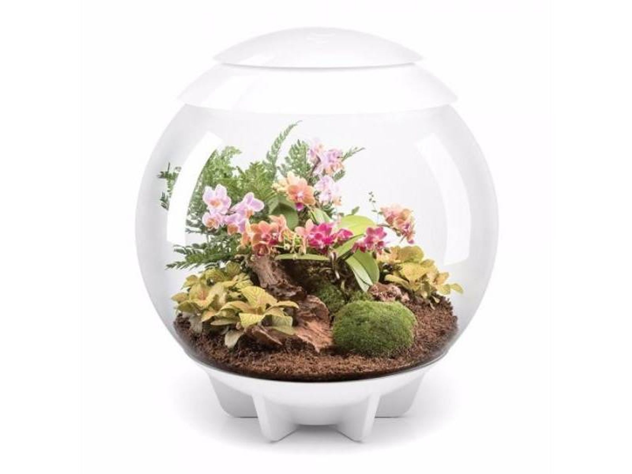 Biorb Air 60 White