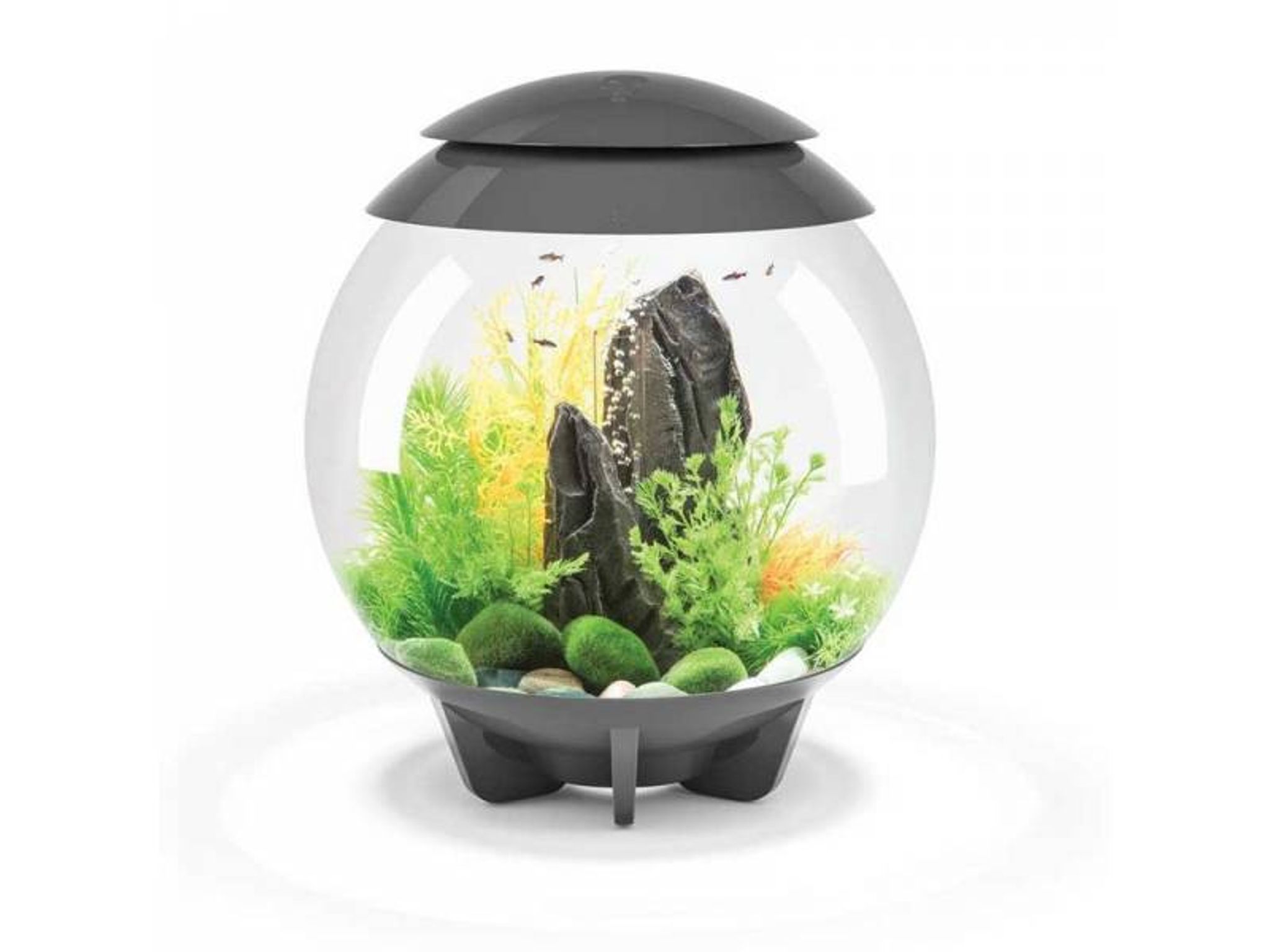 Biorb Halo 30 MCR Grey