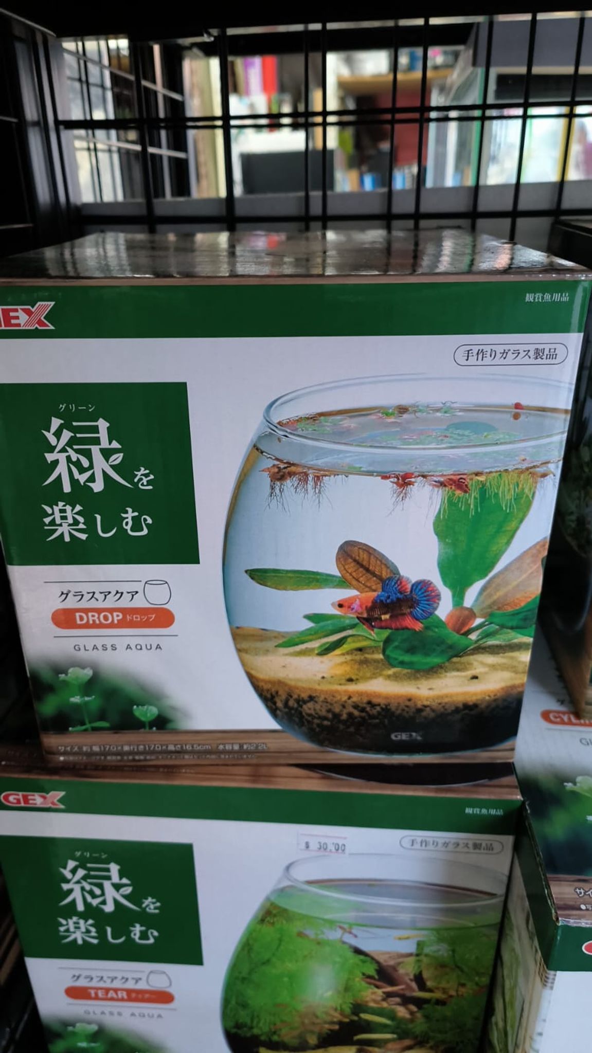 GEX Fishbowl