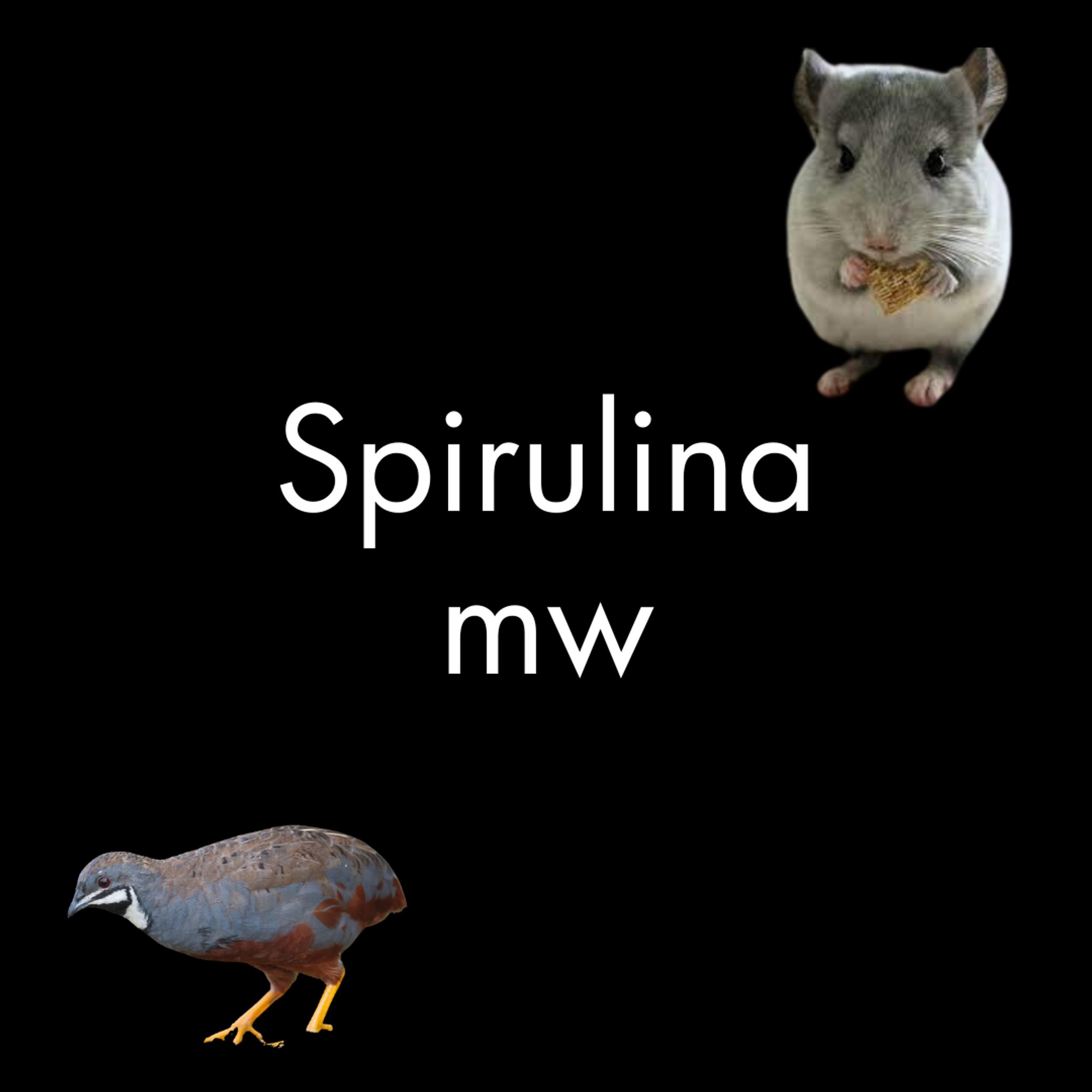 Spirulina Mealworms
