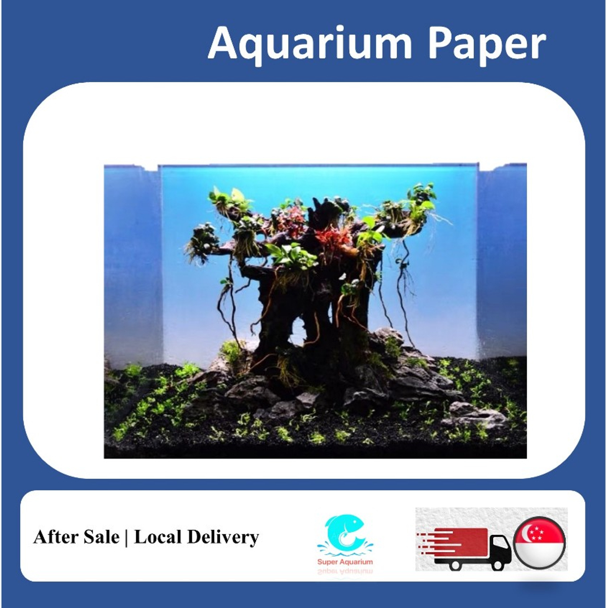 Fish tank background film paper