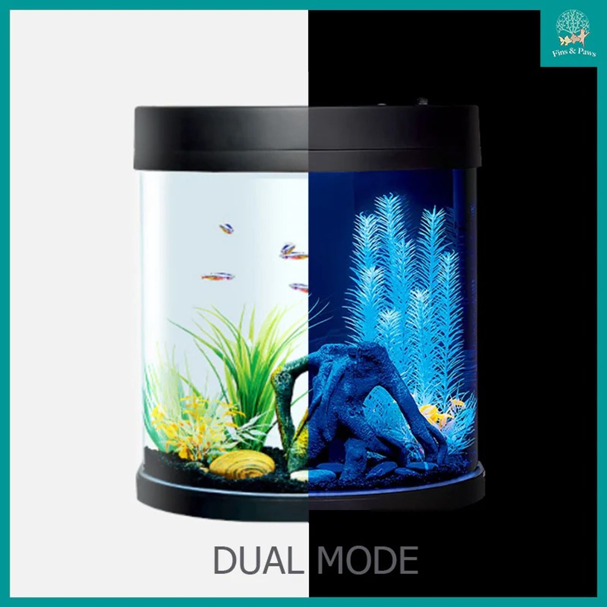 [Resun] HALFMOON Curved-Front 37.8L Glass Fish Tank Set (with White/Blue LED Lights and Filter)