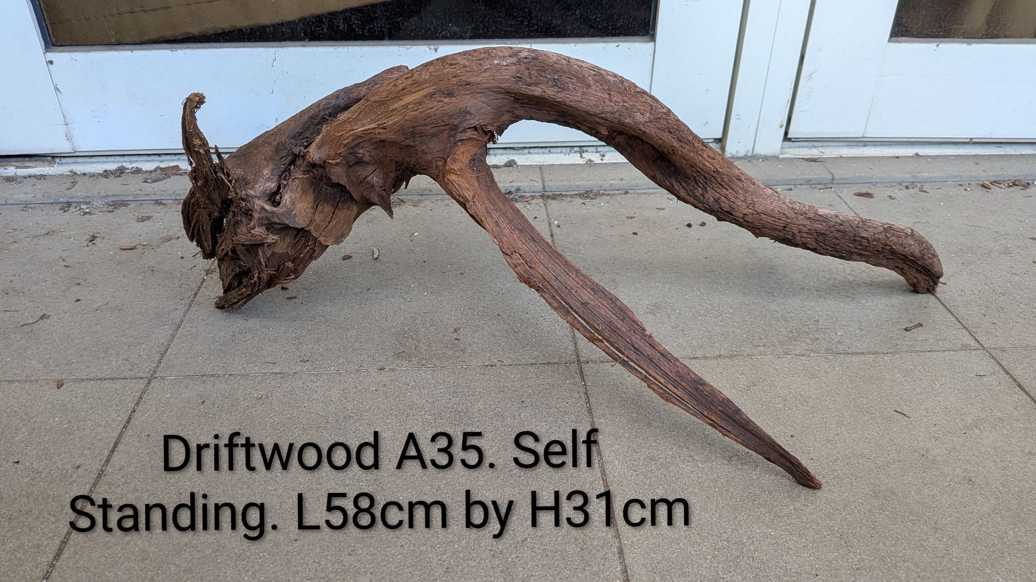 [A35] Premium Self-Standing Spider-Arch Driftwood