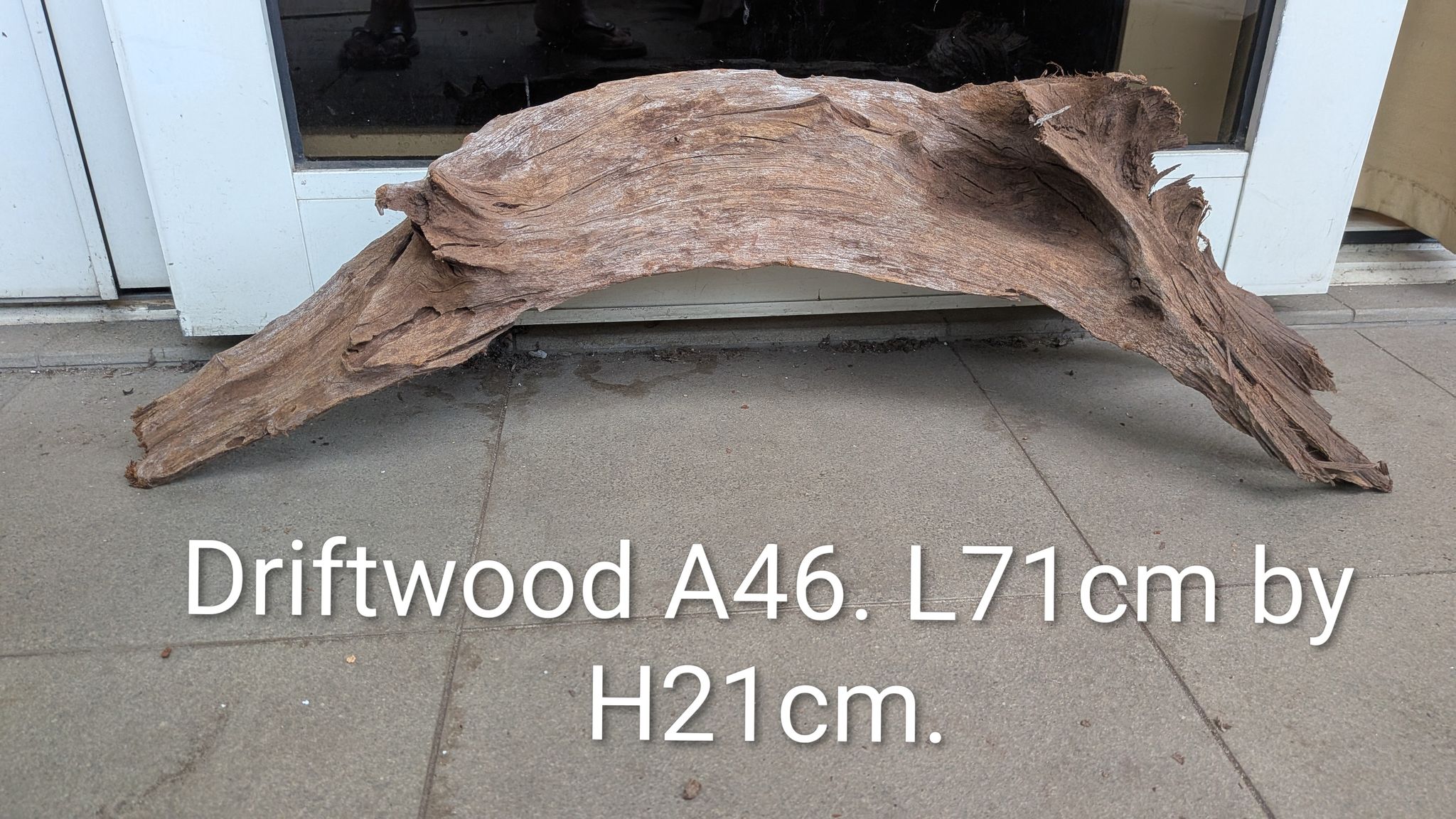 [A46] Premium Thick-Bark River Arch & Curved Bridge Driftwood