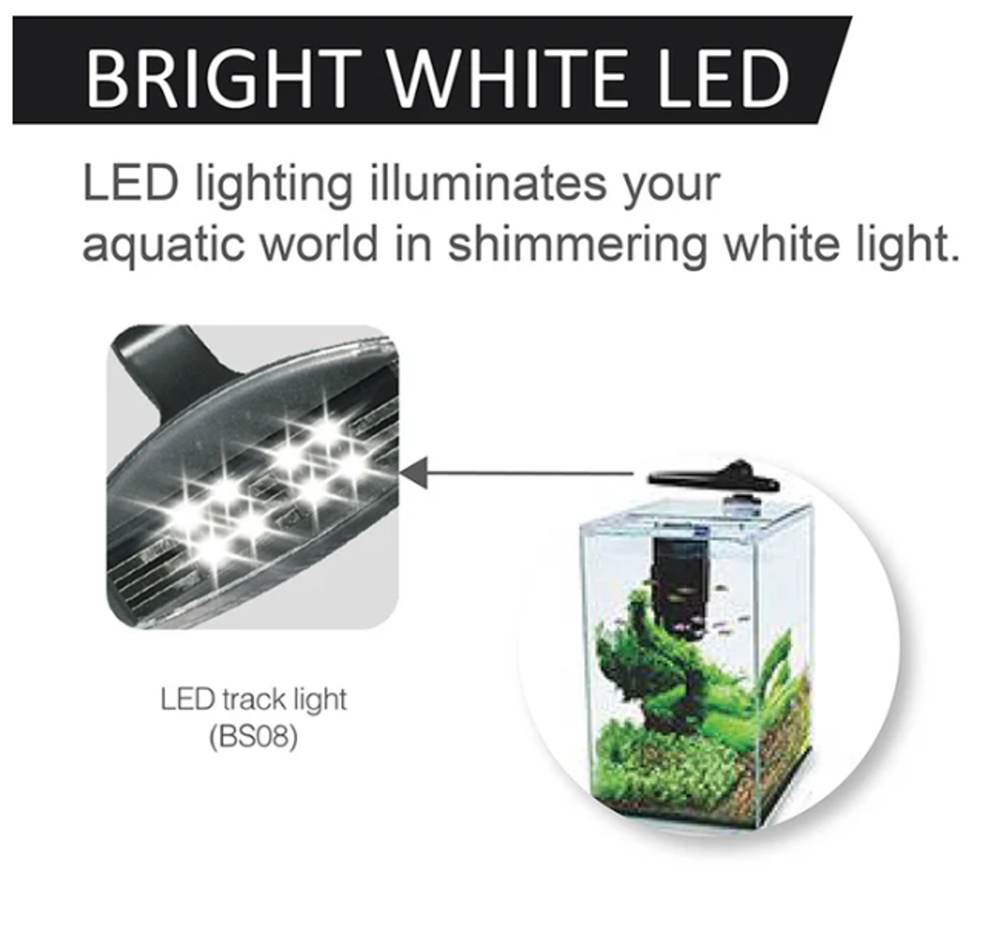 [Aquasyncro] ClearCube Tall Designer Aquarium (with LED Lights and Filter)