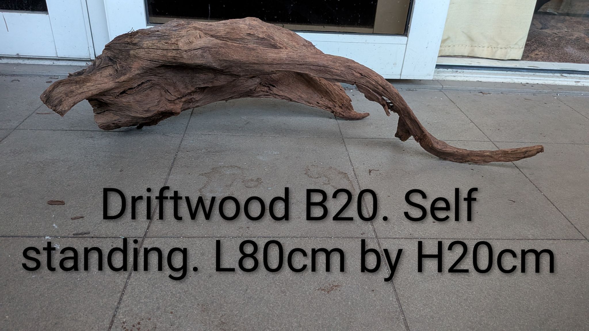 [B20] Premium Self-Standing Massive Stump & Sweeping Tail Driftwood