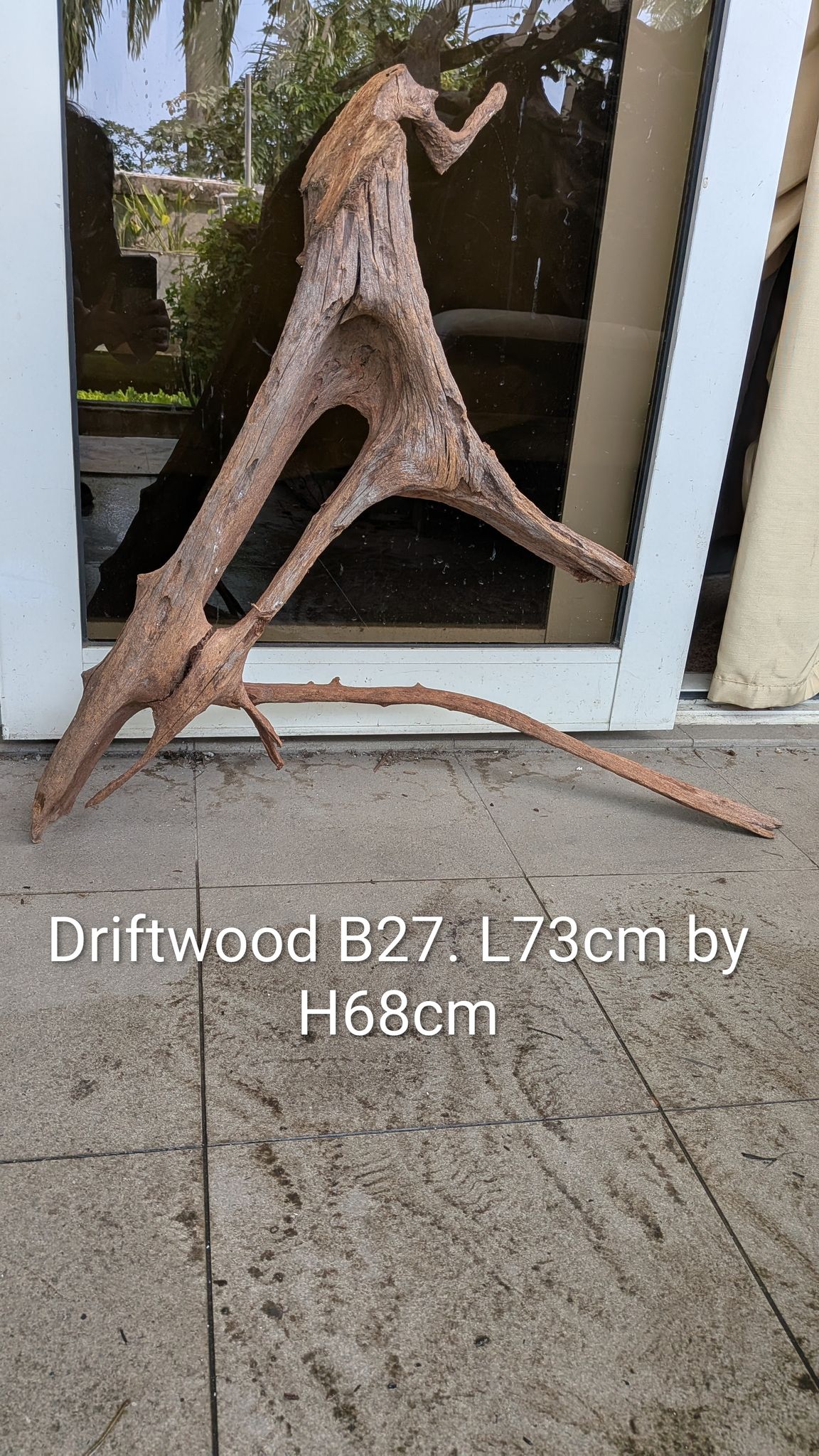 [B27] Premium Towering Sculptural Arch & Long Base Driftwood
