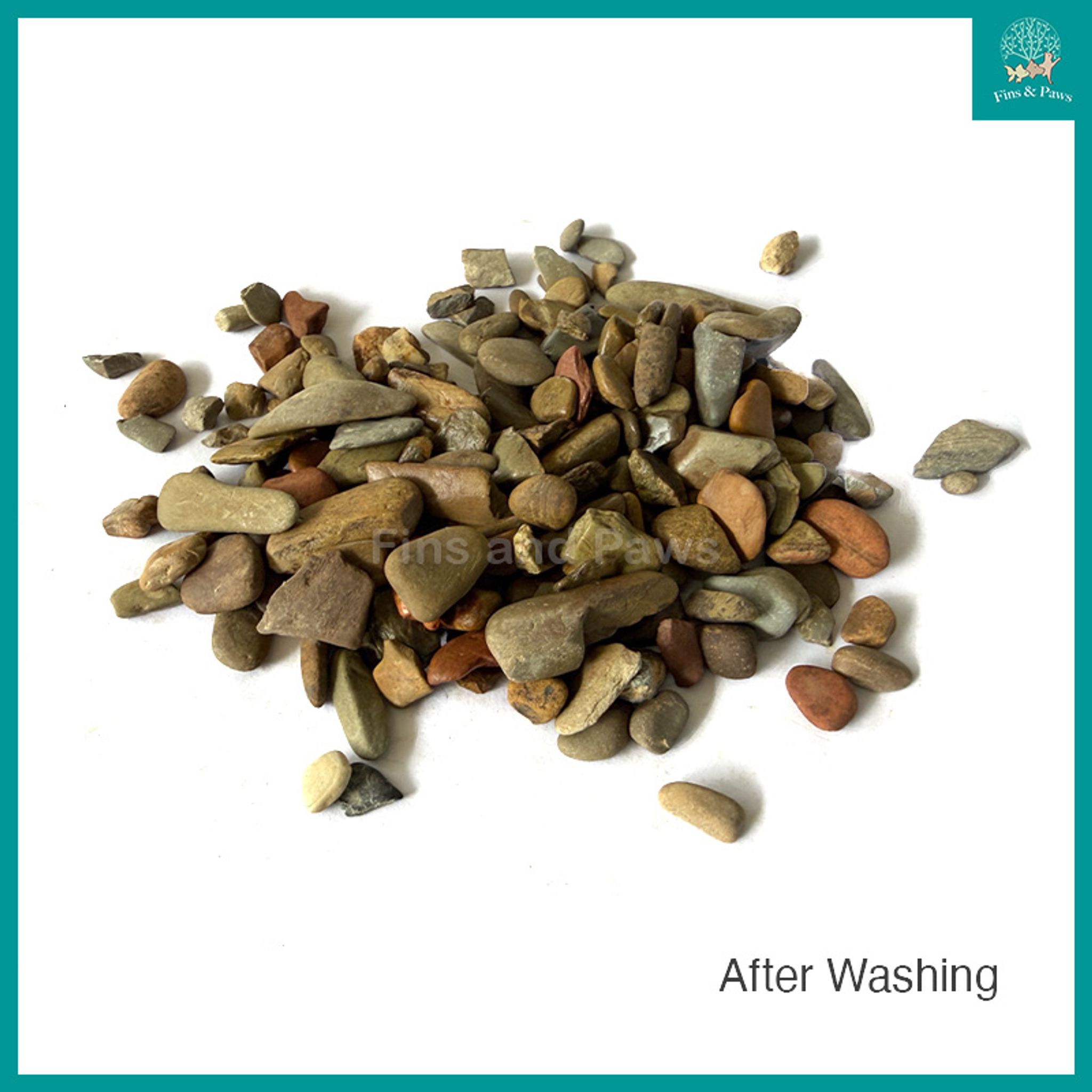 [Bioscape] River Stone Pebble Detailing Aquascape Gravel for Aquarium - 3KG / 10KG