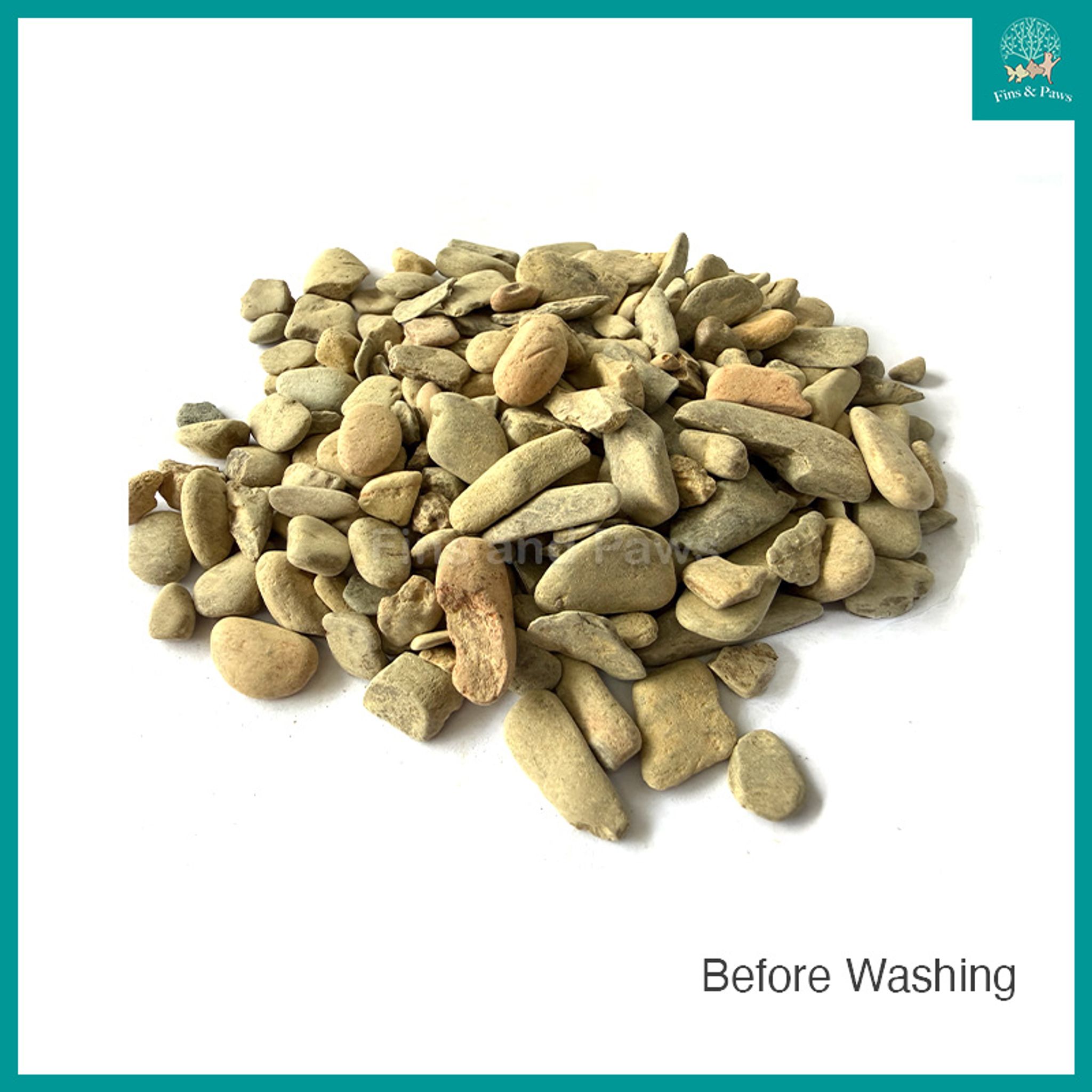[Bioscape] River Stone Pebble Detailing Aquascape Gravel for Aquarium - 3KG / 10KG