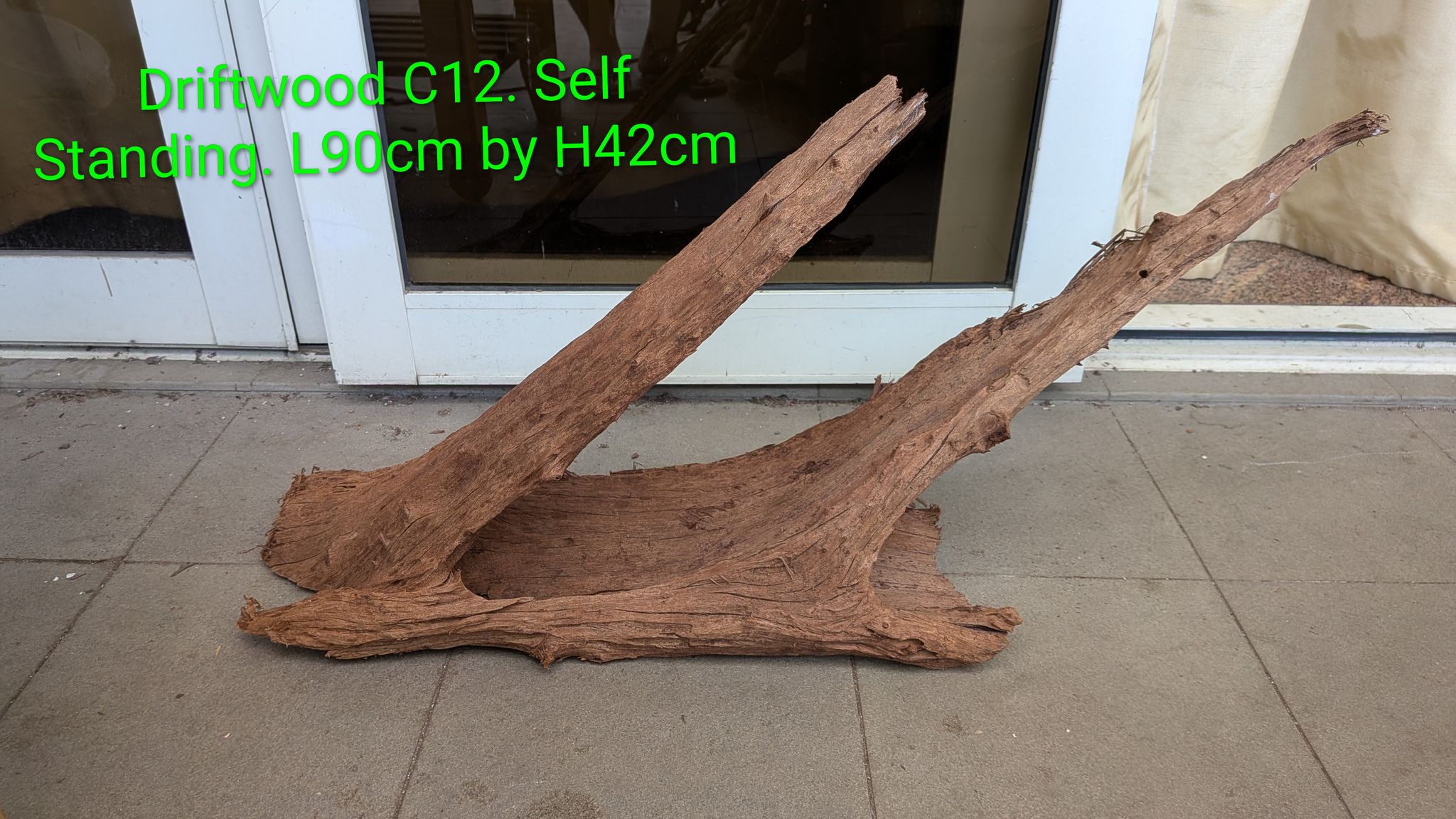 [C12] Premium Self-Standing Dual-Pillar Exhibition Driftwood