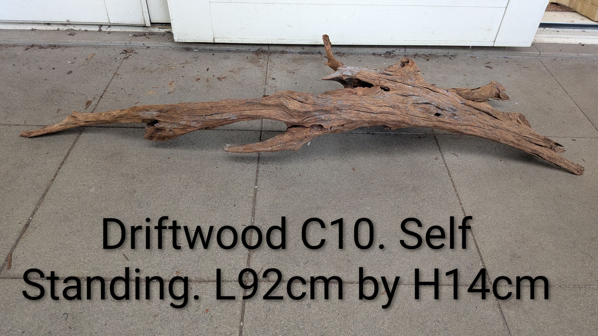 [CENTERPIECE] Ultra-Intricate 92cm Premium Driftwood C10 - Brand New & Self-Standing