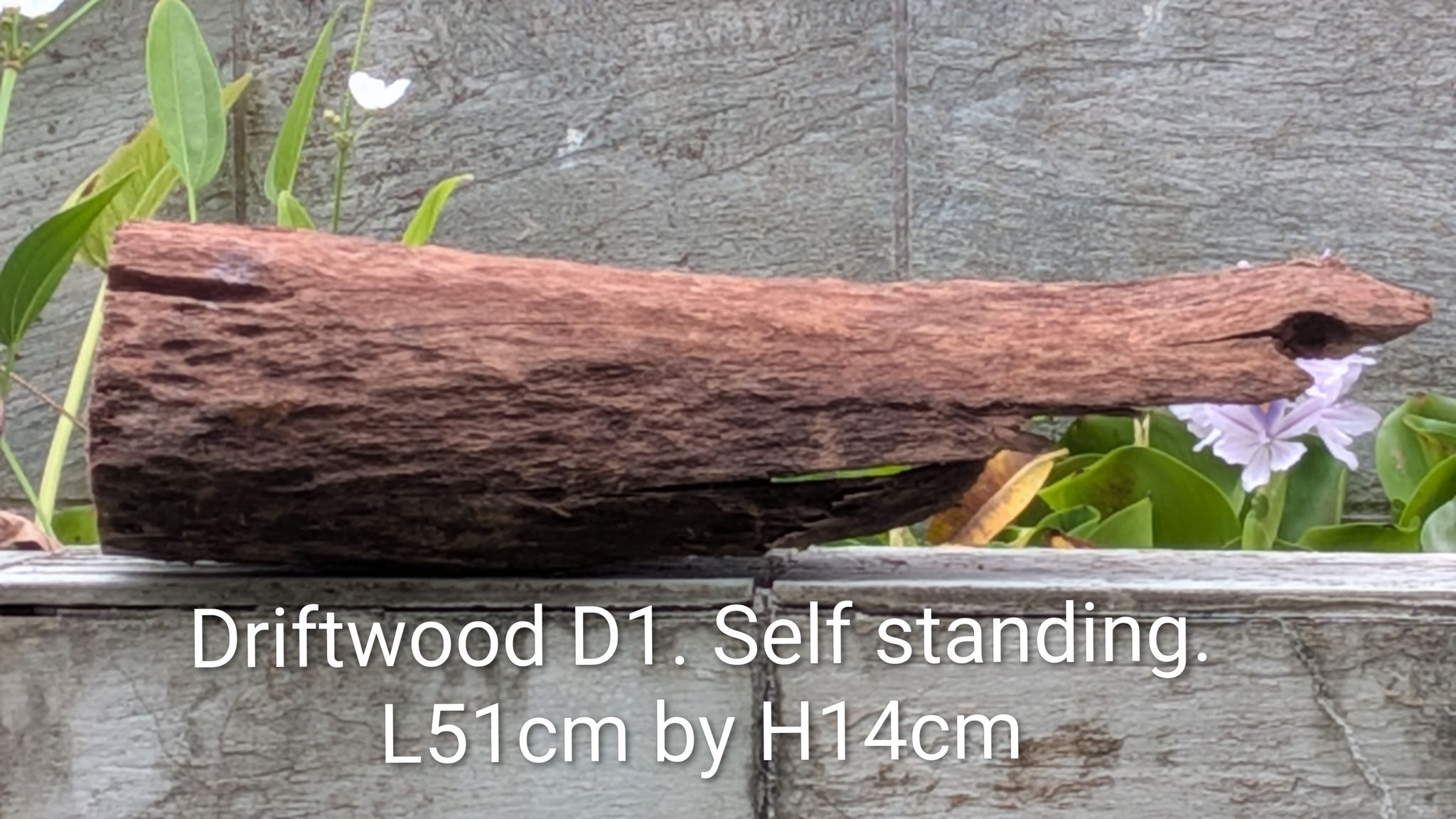 [D1] Premium Dual-Orientation Solid Pillar & Log Driftwood