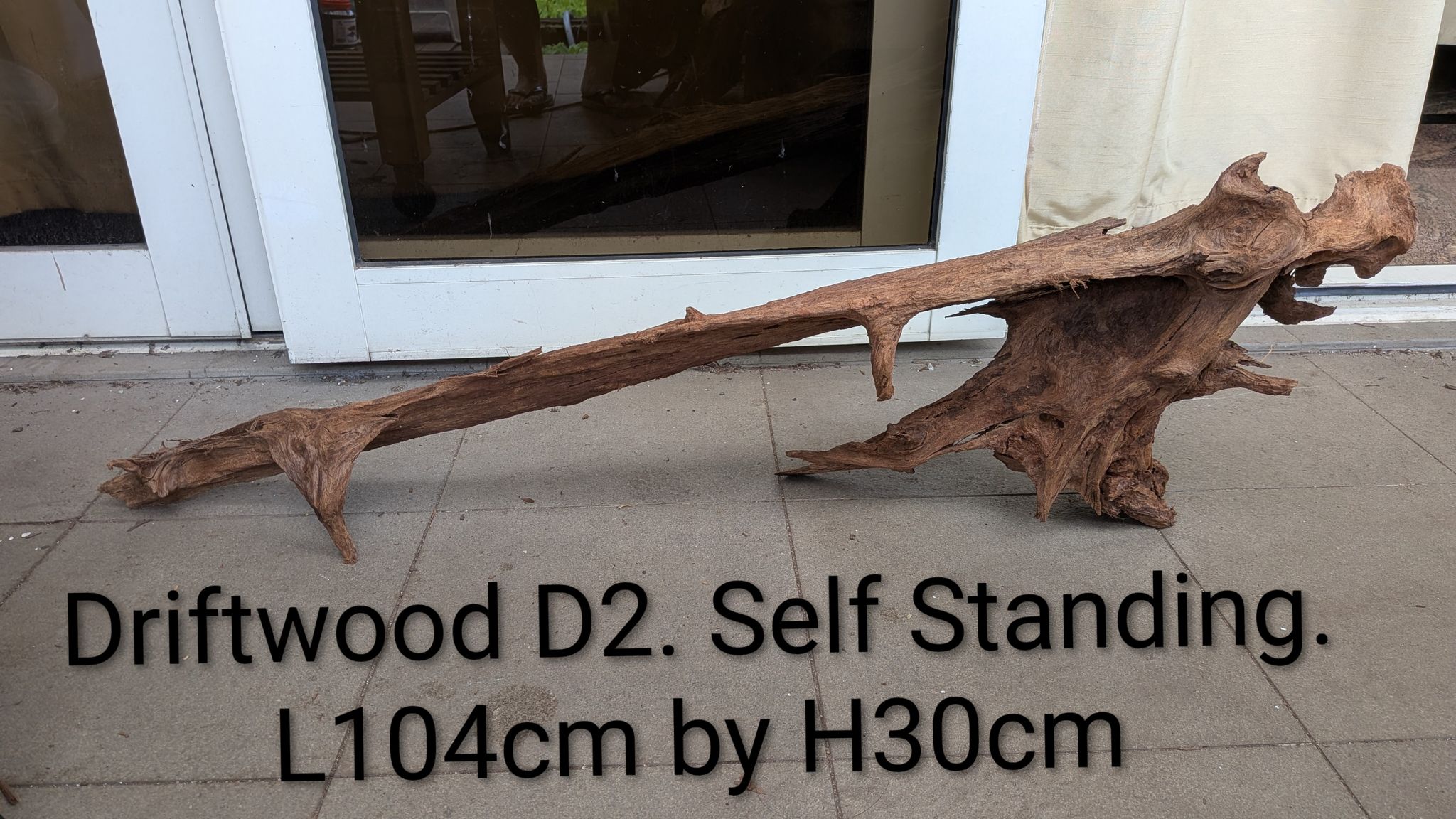 [D2] Massive Premium Self-Standing Slanted Log Exhibition Driftwood