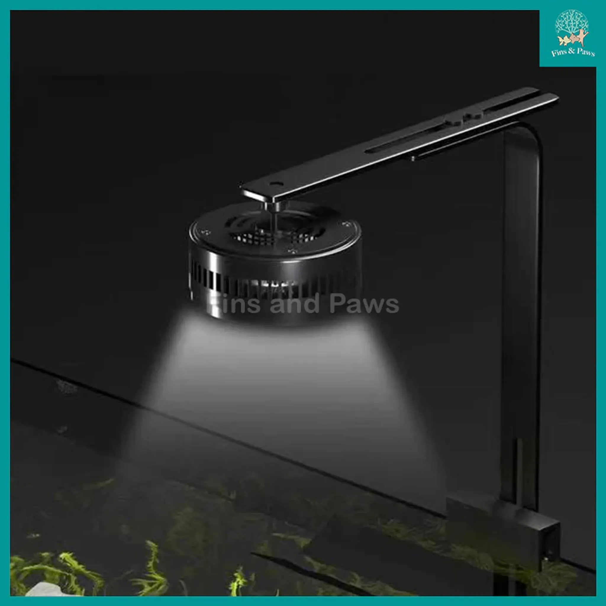 [KAO KUI] Professional 50W KK07 Aquarium Downlight suitable for Planted, Monster Fish, Goldfish, Paludarium and Terrestrial Plants