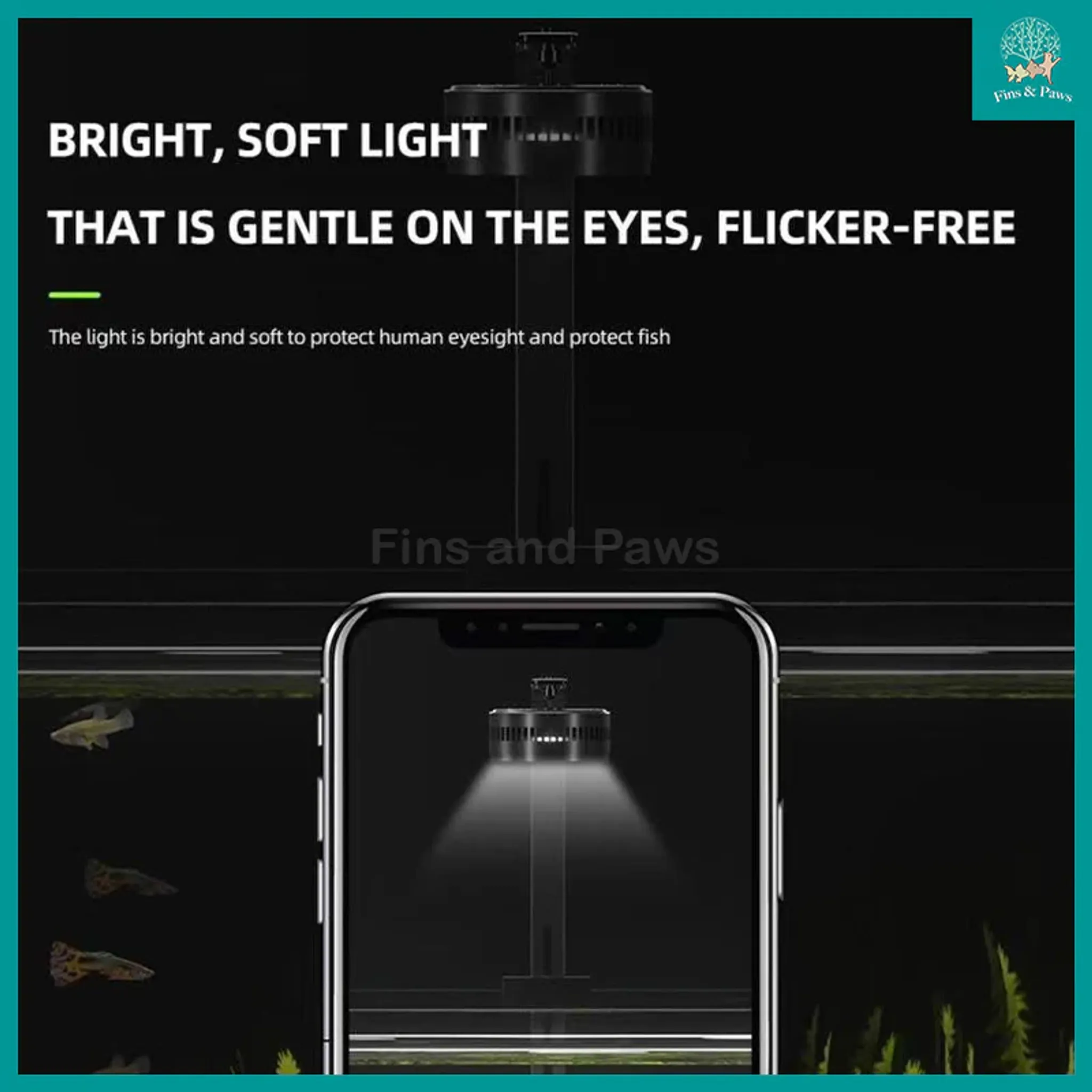 [KAO KUI] Professional 50W KK07 Aquarium Downlight suitable for Planted, Monster Fish, Goldfish, Paludarium and Terrestrial Plants