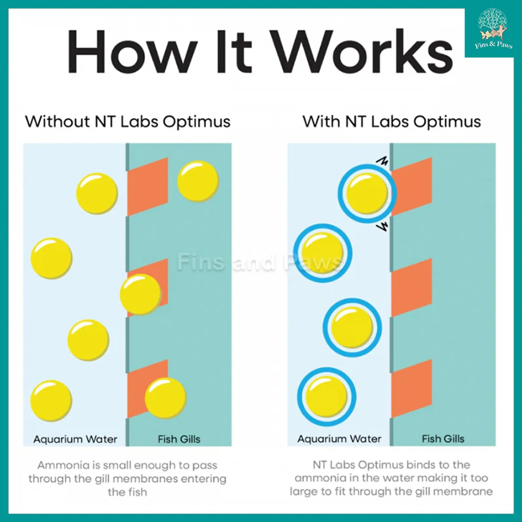 [NT Labs] Optimus Concentrated Tap Water Dechlorinator for Freshwater and Marine Aquarium for Freshwater and Marine Aquarium with Ammonia, Nitrite and Nitrate Detoxifier