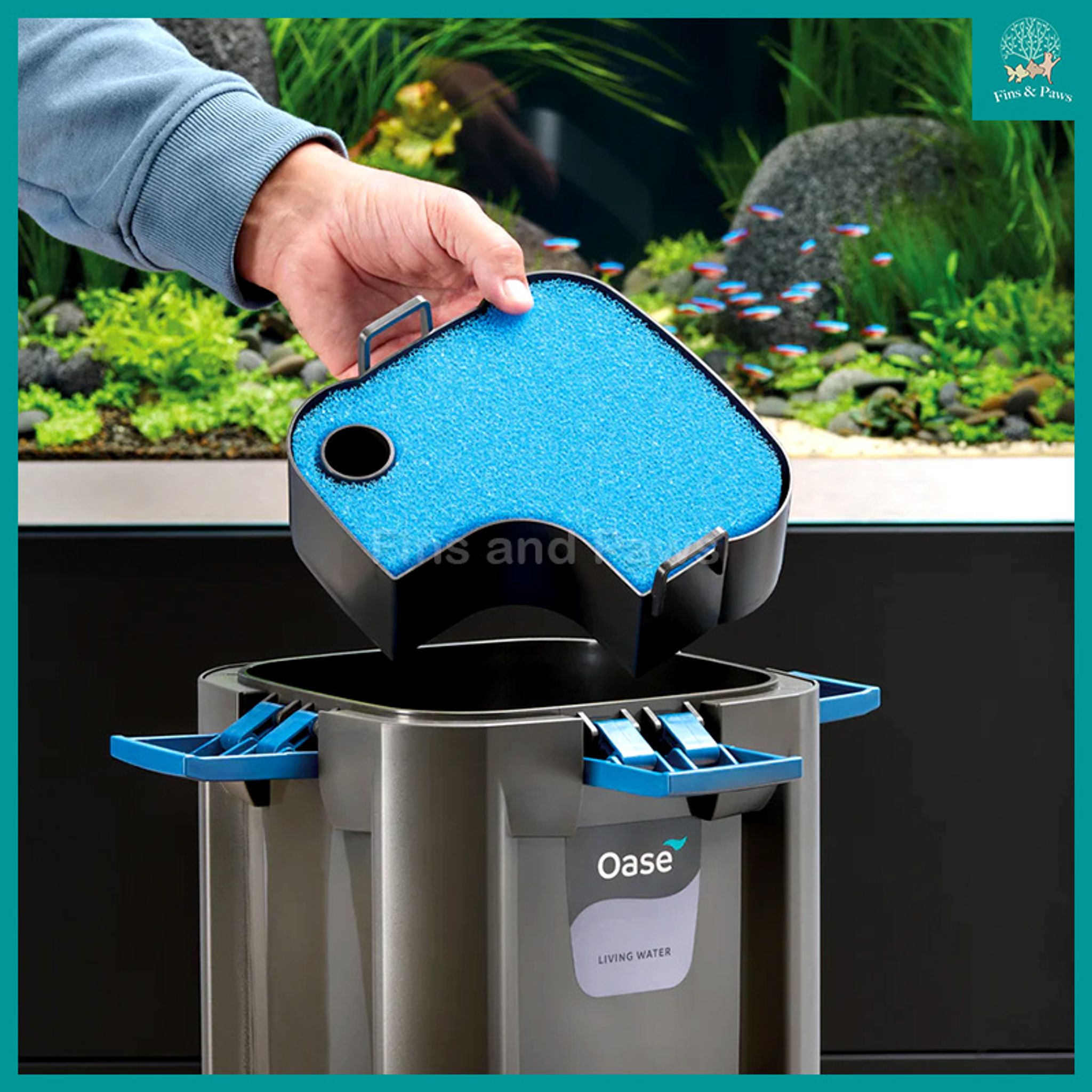[Oase] BioMaster Ver2 250 / 350 / 600 / 850 External Canister Filter (NEW VERSION)