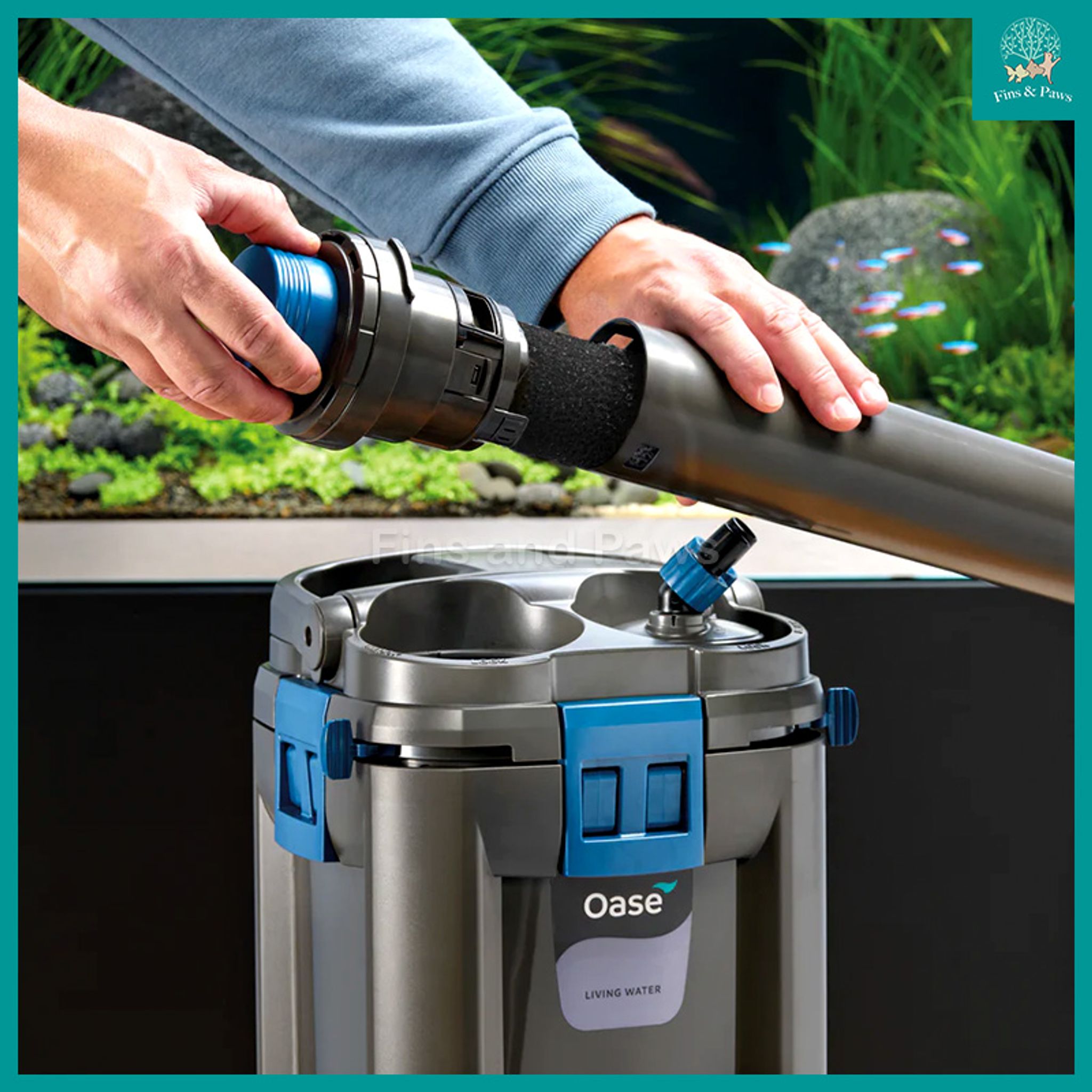 [Oase] BioMaster Ver2 250 / 350 / 600 / 850 External Canister Filter (NEW VERSION)