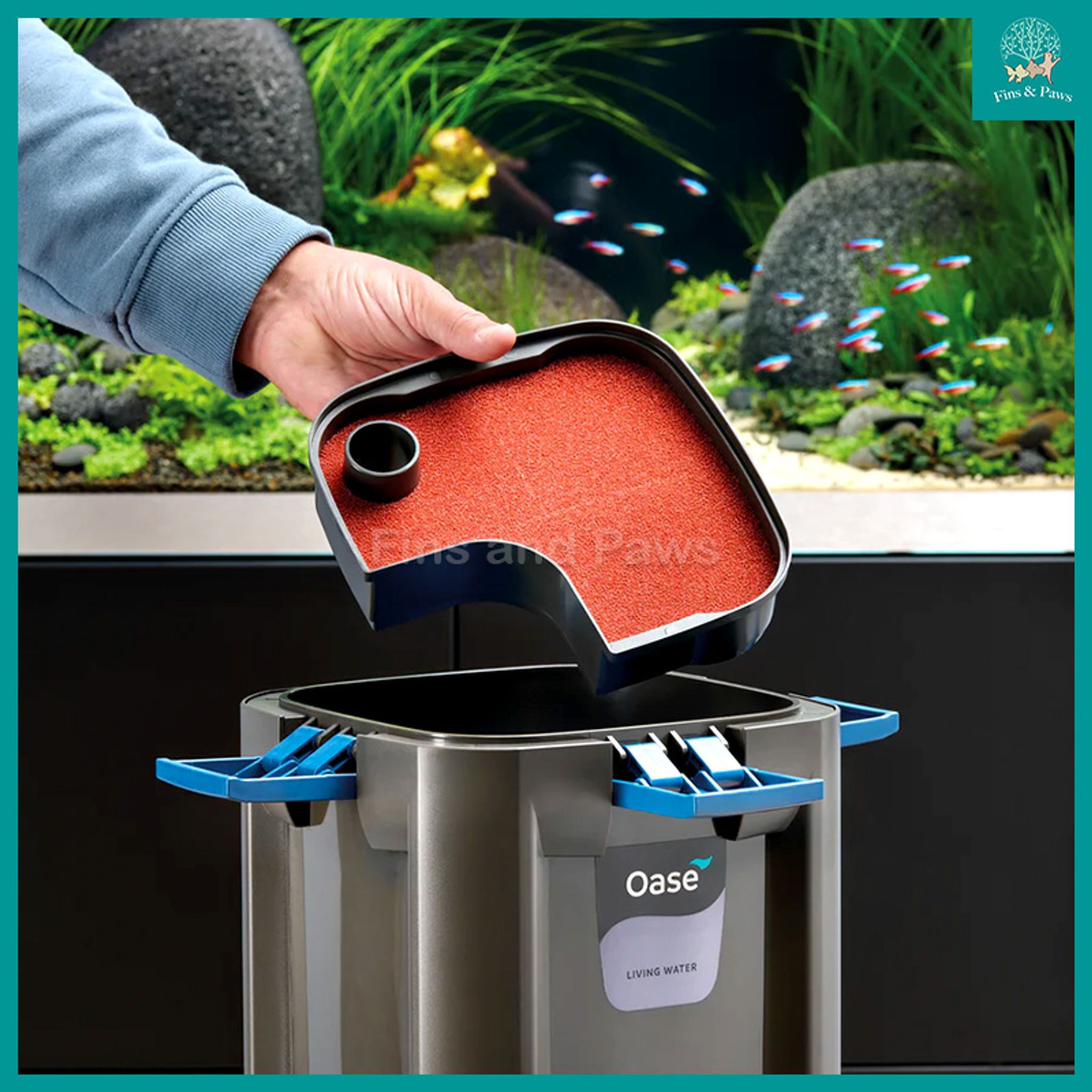 [Oase] BioMaster Ver2 250 / 350 / 600 / 850 External Canister Filter (NEW VERSION)