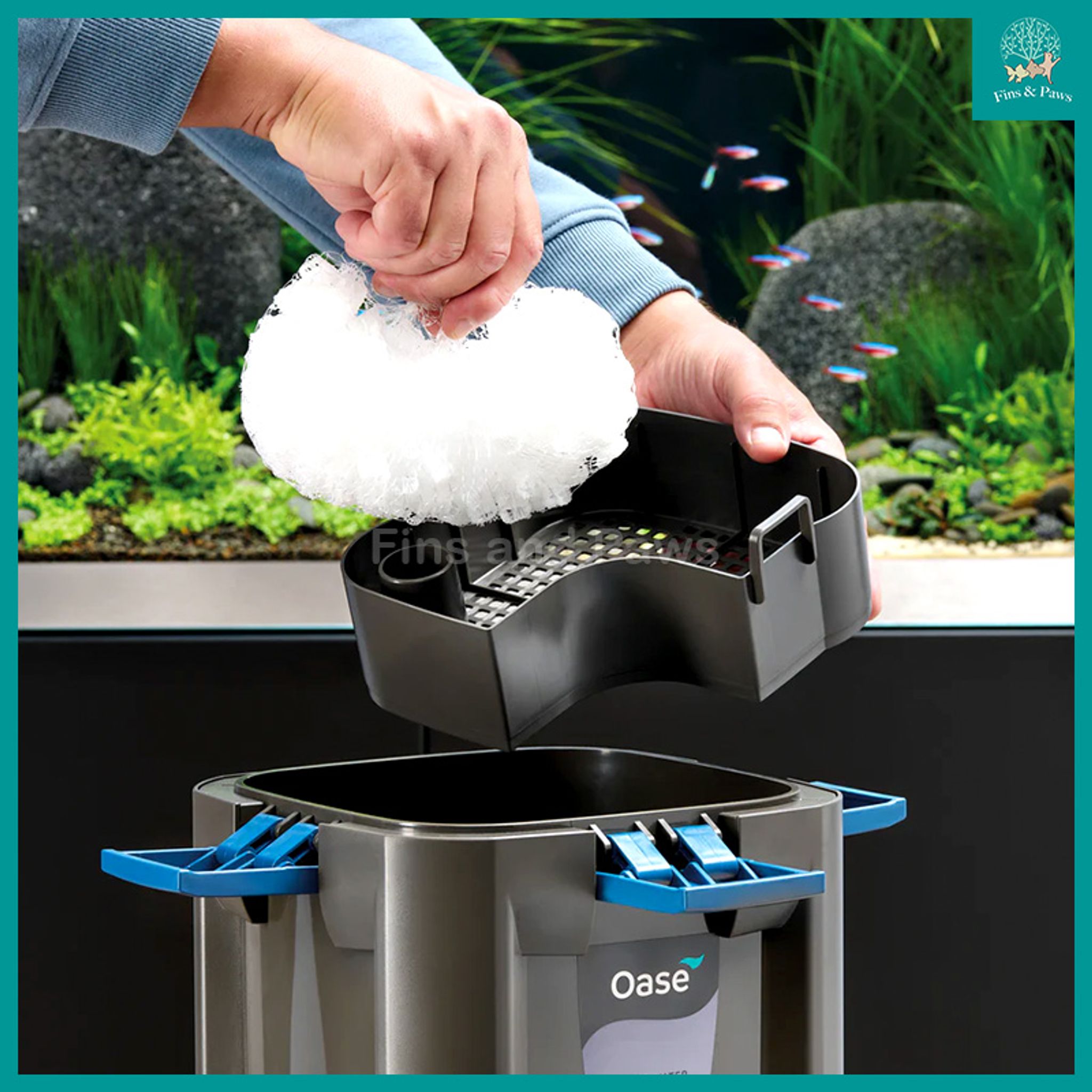 [Oase] BioMaster Ver2 250 / 350 / 600 / 850 External Canister Filter (NEW VERSION)