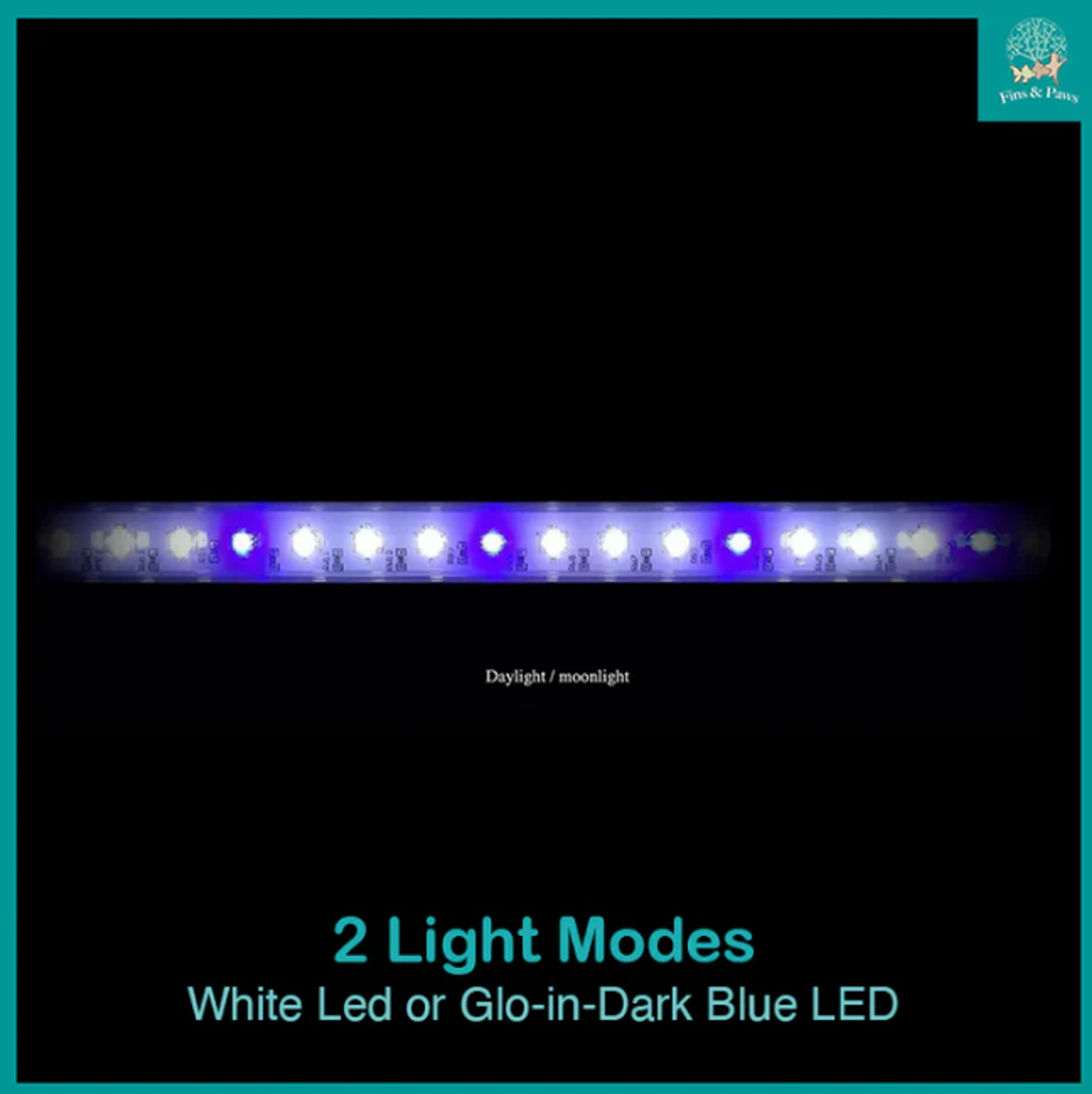[Resun] Wonder Palace Glow Aquarium Fish Tank 37.8L (with Glow-in-Dark LED Lights and Filter)