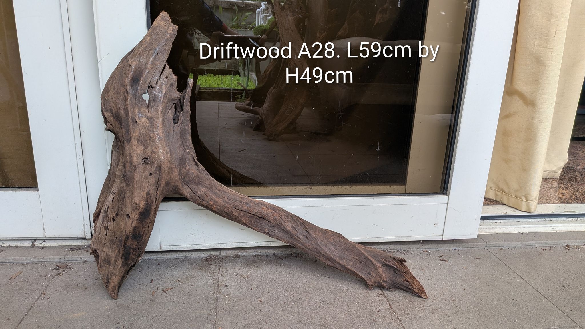 [Showpiece Arch] Premium Architectural Driftwood A28