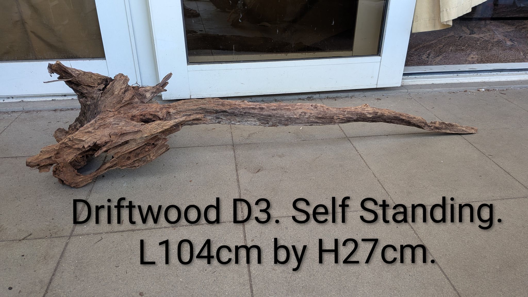 [XL Centerpiece] 1-Meter+ Premium Sculptural Driftwood D3 (Guaranteed to Sink)
