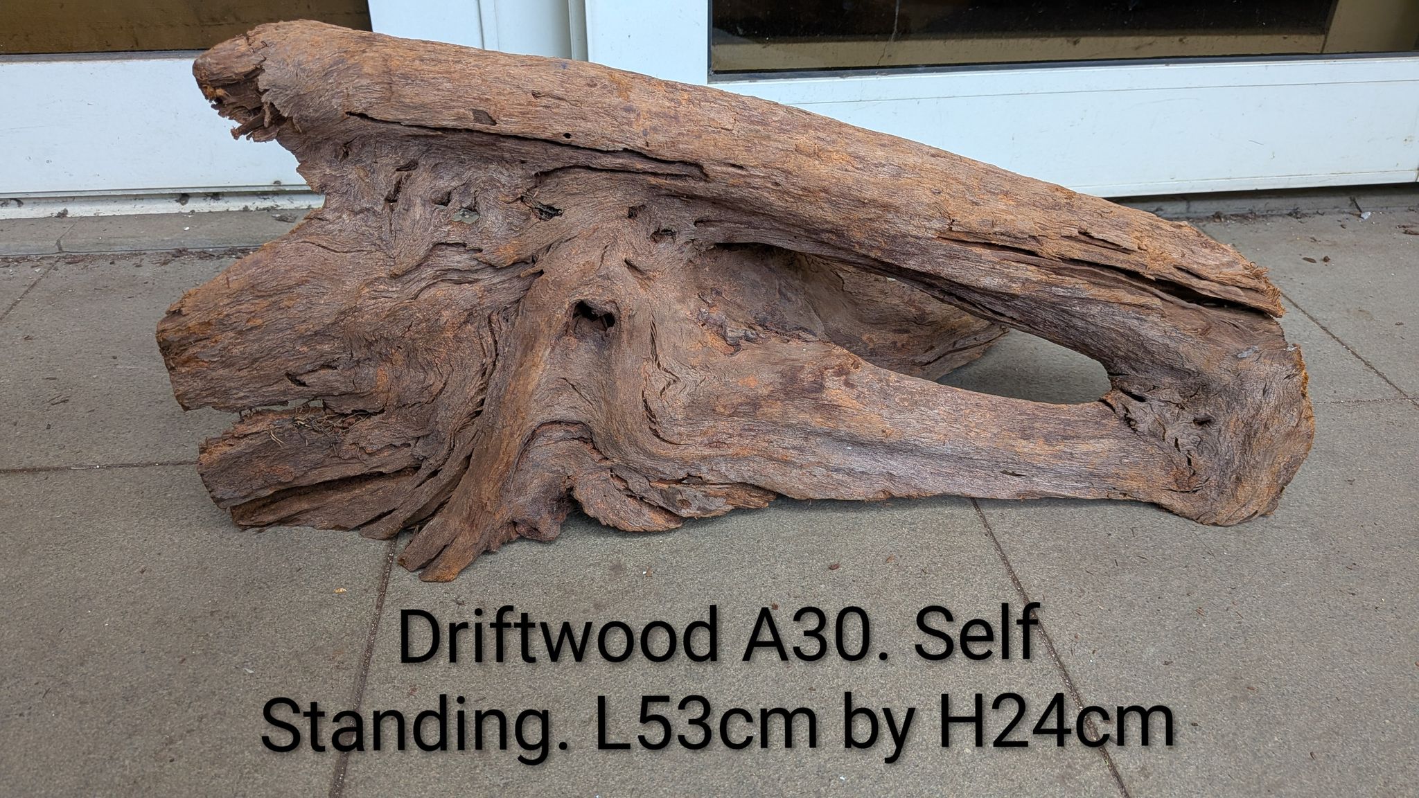 🪵 Driftwood A30 | Unique "Eye of the Storm" Hardscape