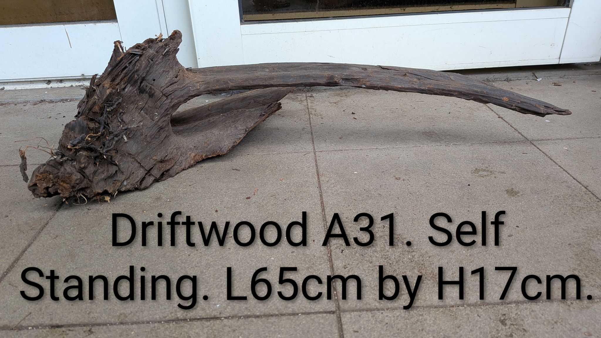 🪵 Driftwood A31 | Premium "Scythe" Hardwood Arch