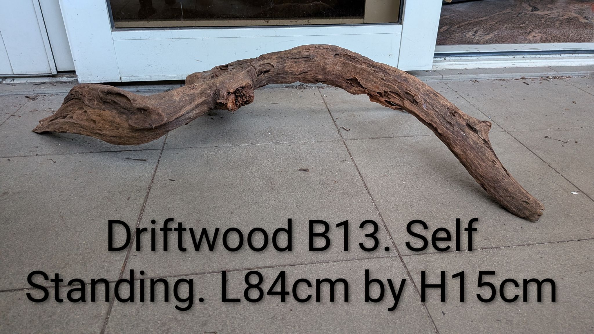 🪵 Driftwood B13 | Extra-Long 84cm "Serpentine" Hardwood Arch