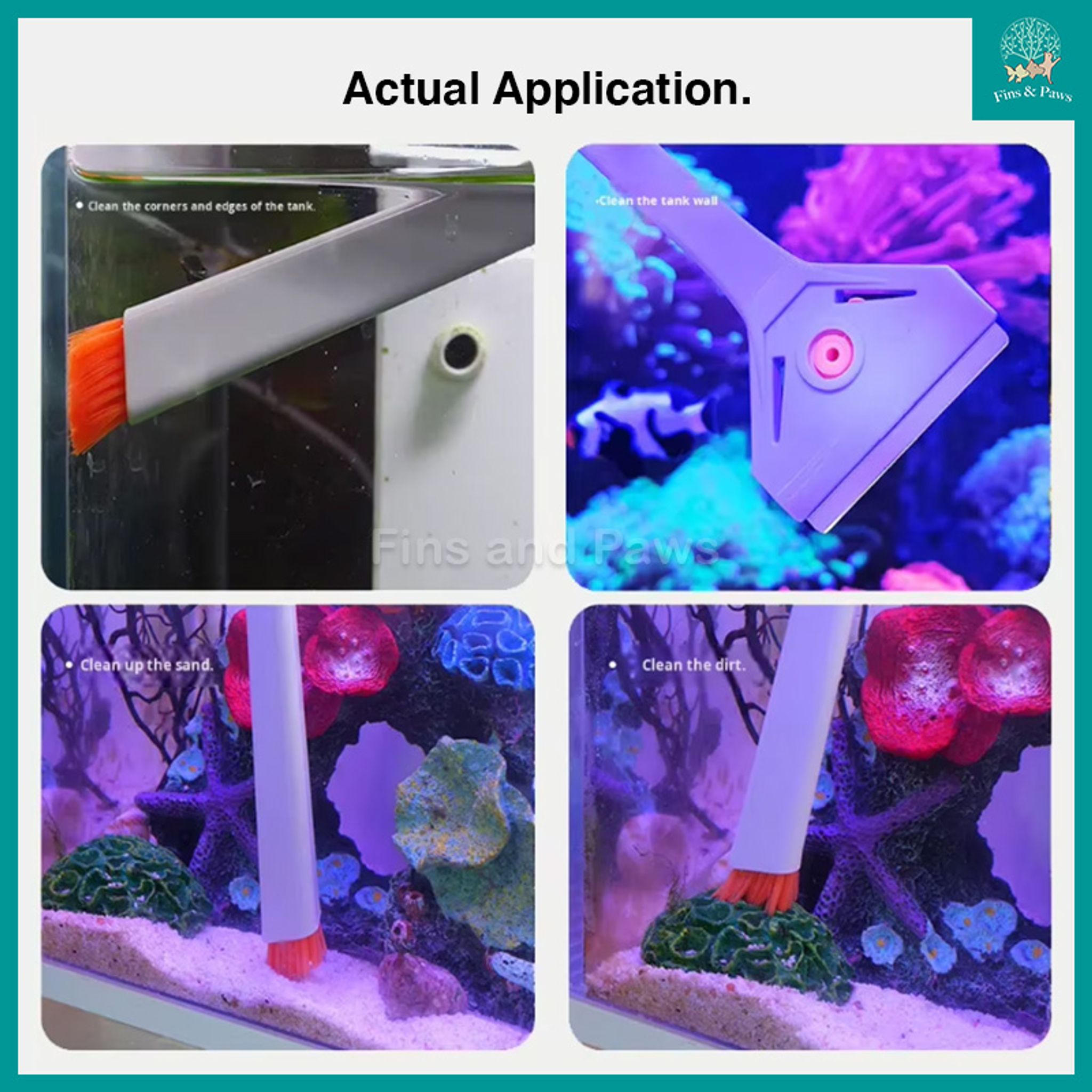 Algae Scraper with Cleaning Brush Set for Aquarium (Replaceable Scraper Blade)