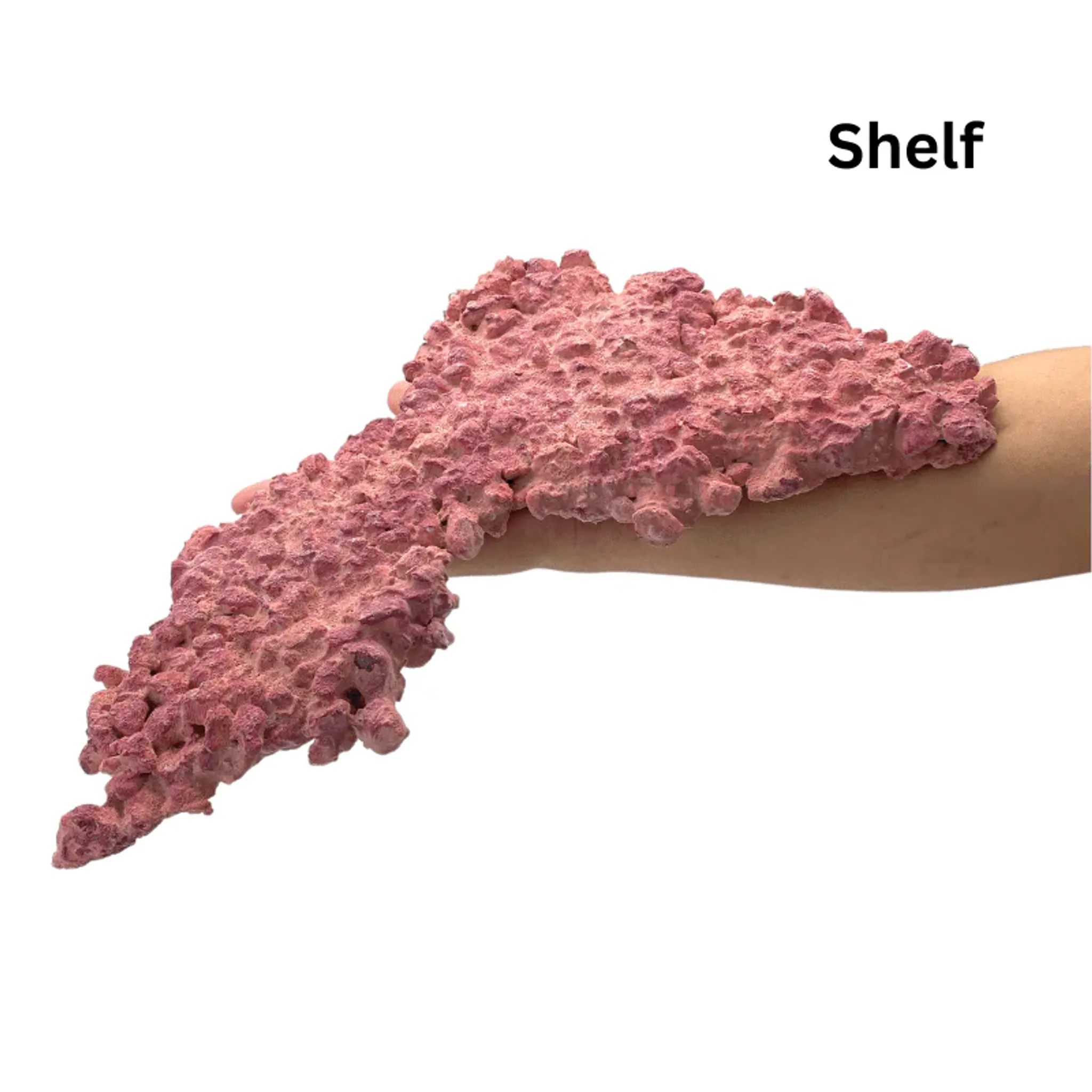 Aquaforest Rock 18Kg (Faster Maturation, Reef safe, Stabilizes pH & KH)