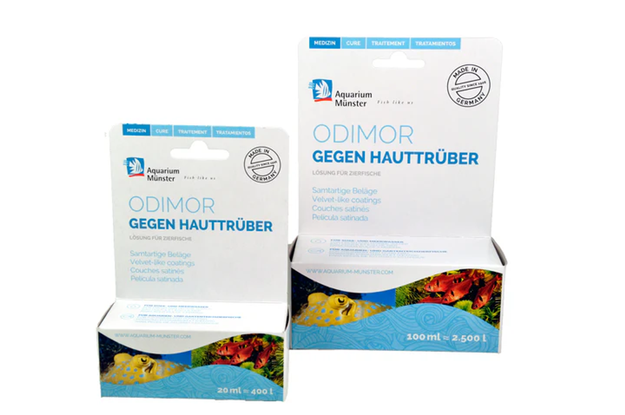 Aquarium Münster ODIMOR