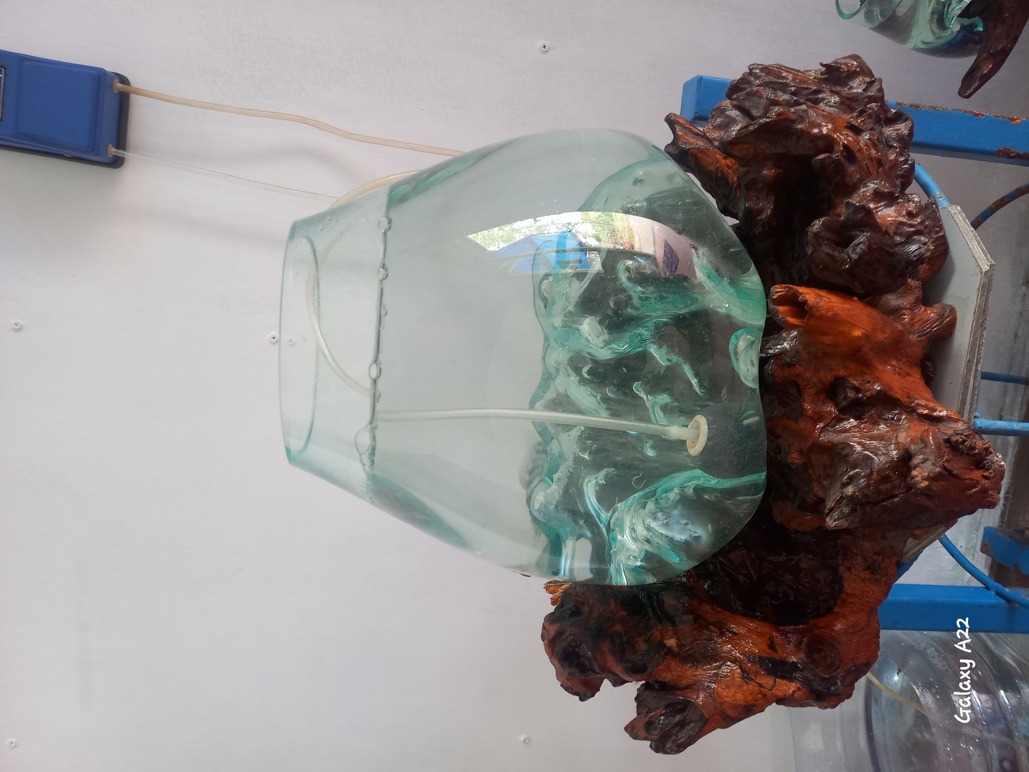 Aquarium ballon