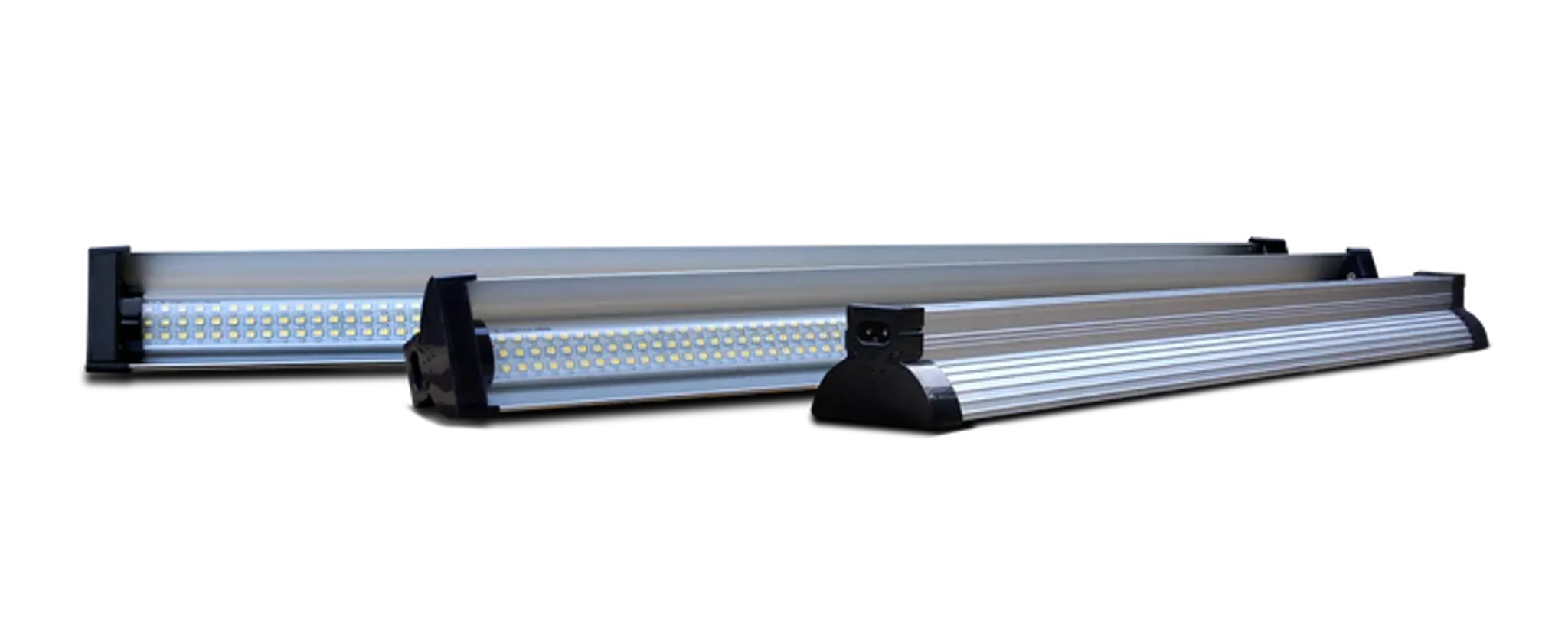 Arcadia Jungle Dawn LED bar