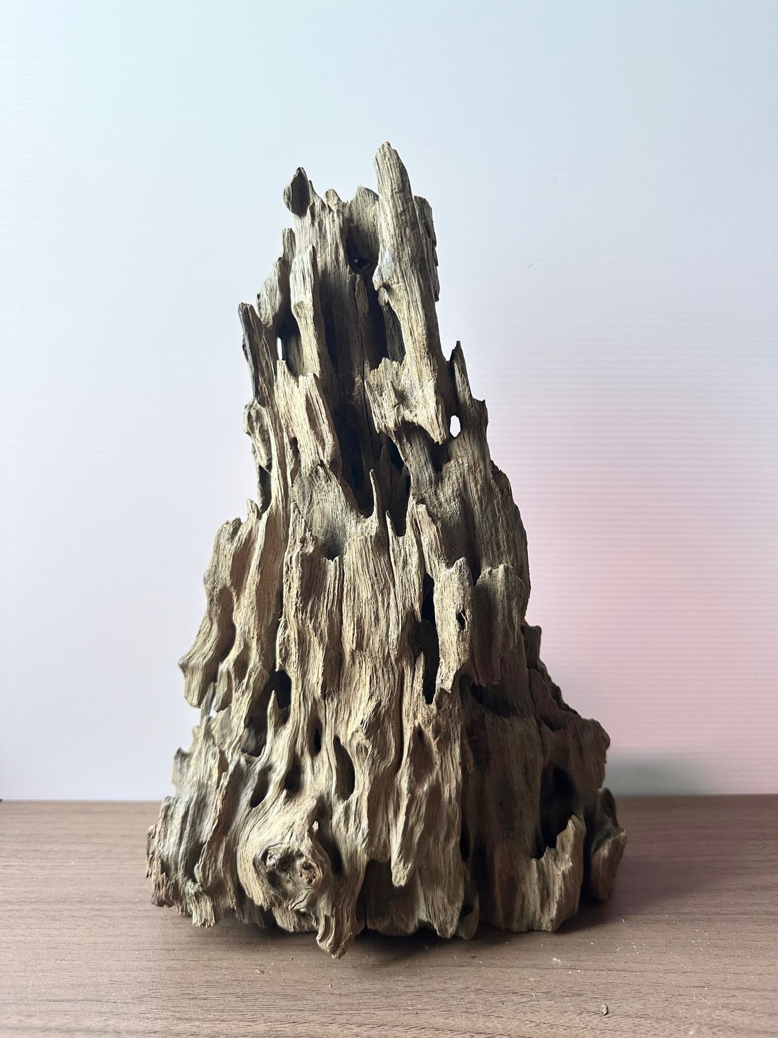 Beautiful Castle shape driftwood for fish shrimp tank (Length 20cm, width 10cm, height 31cm)