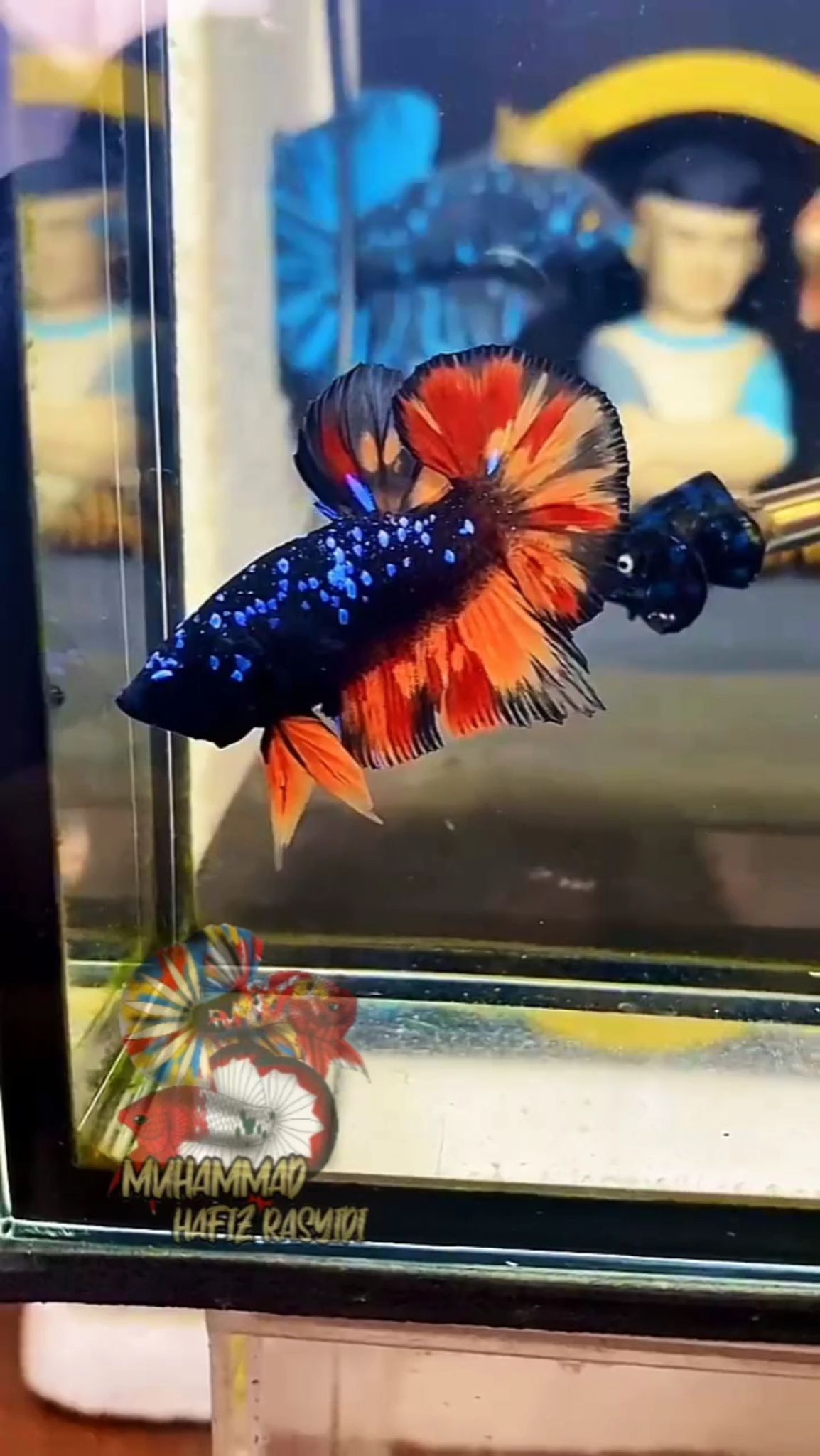 Black Variation