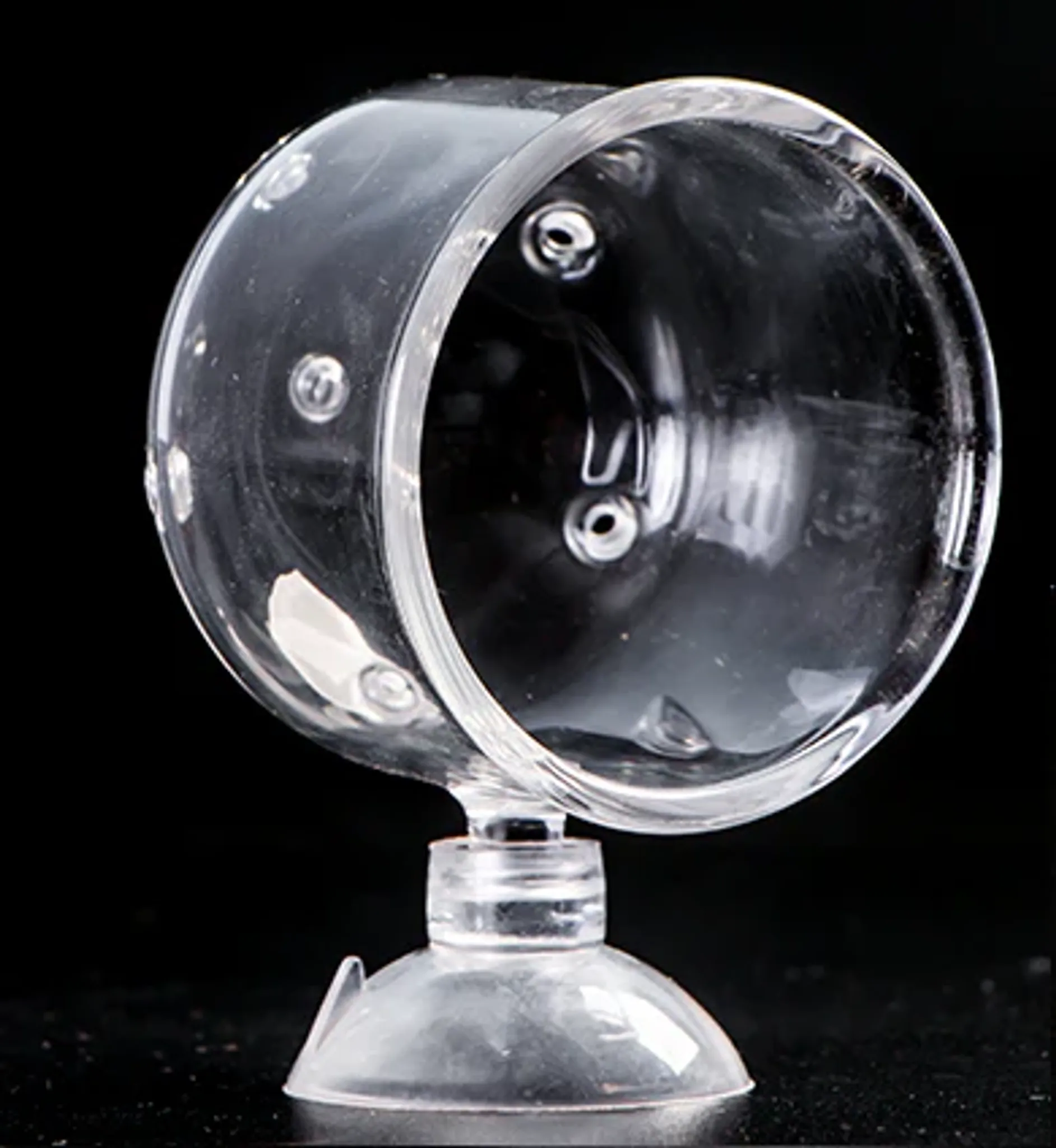 BorneoWild Feed Pod (Dot / L / 4.2x4.7cm)