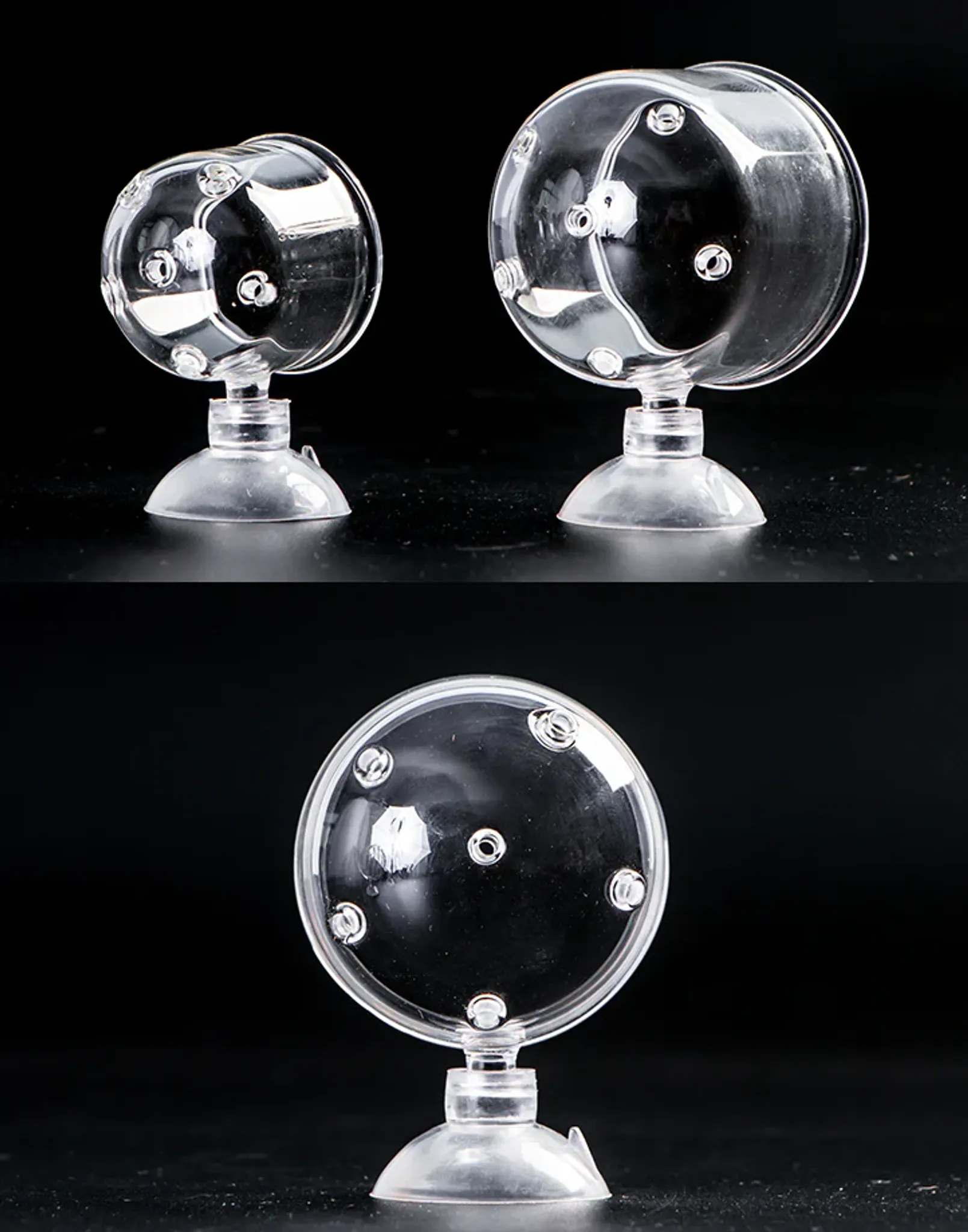 BorneoWild Feed Pod (Dot / L / 4.2x4.7cm)