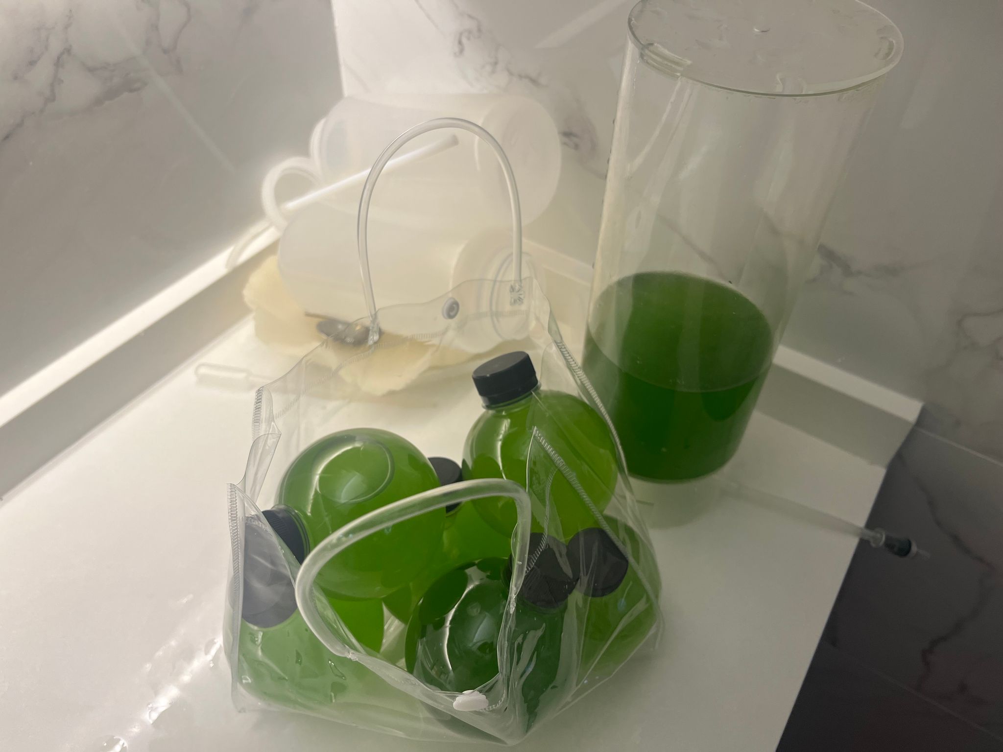 Chlorella Vulgaris