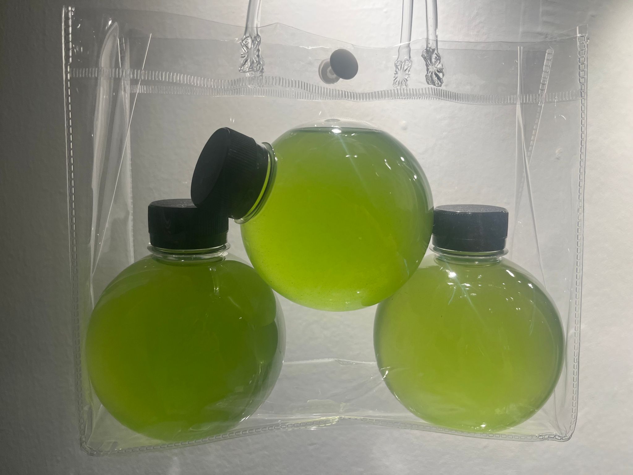 Chlorella Vulgaris