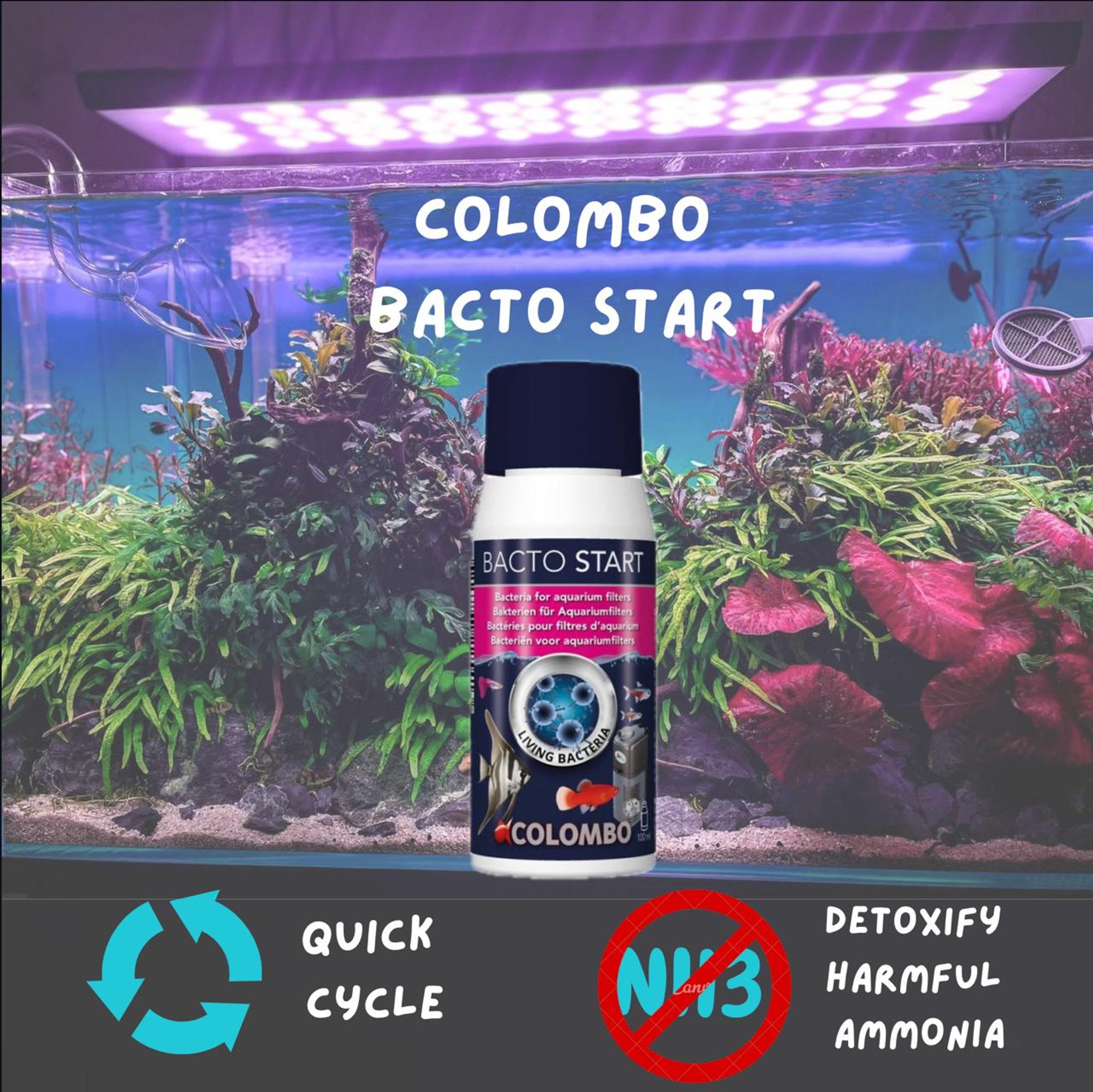 Colombo Bacto Start