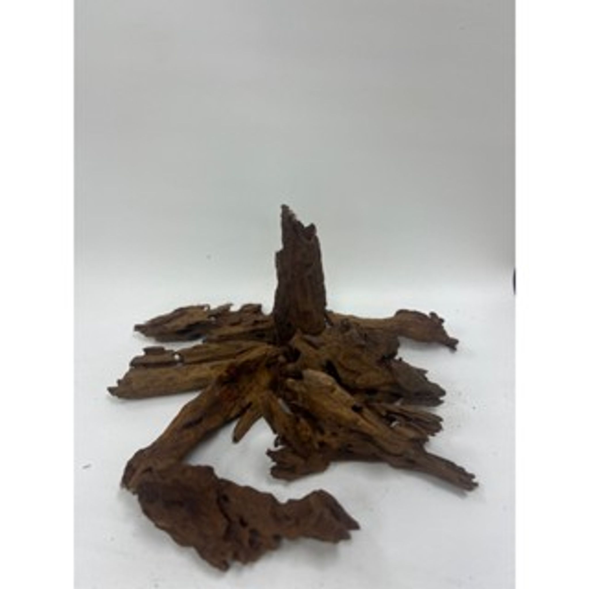 Driftwood