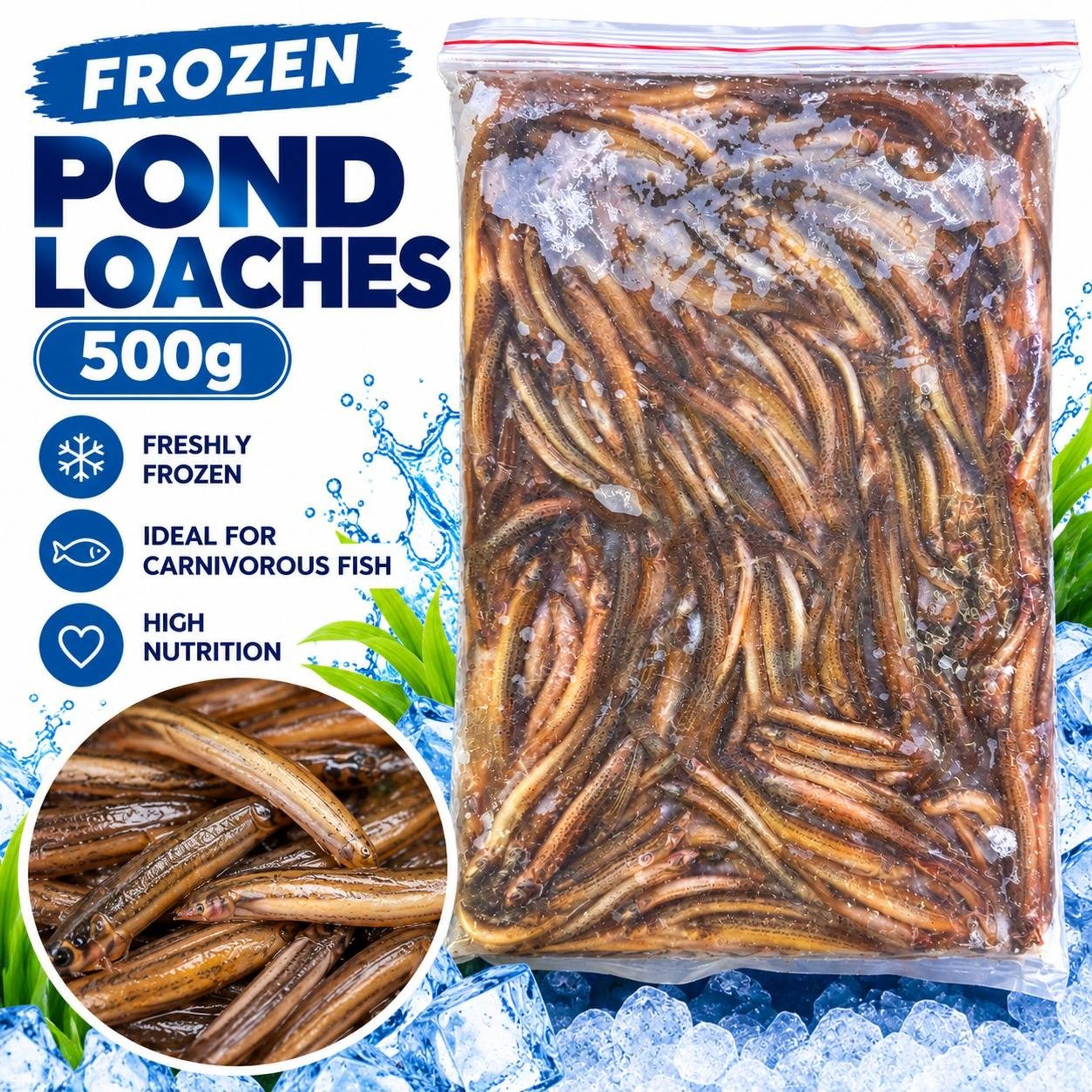 Frozen Pond Loaches (500g)
