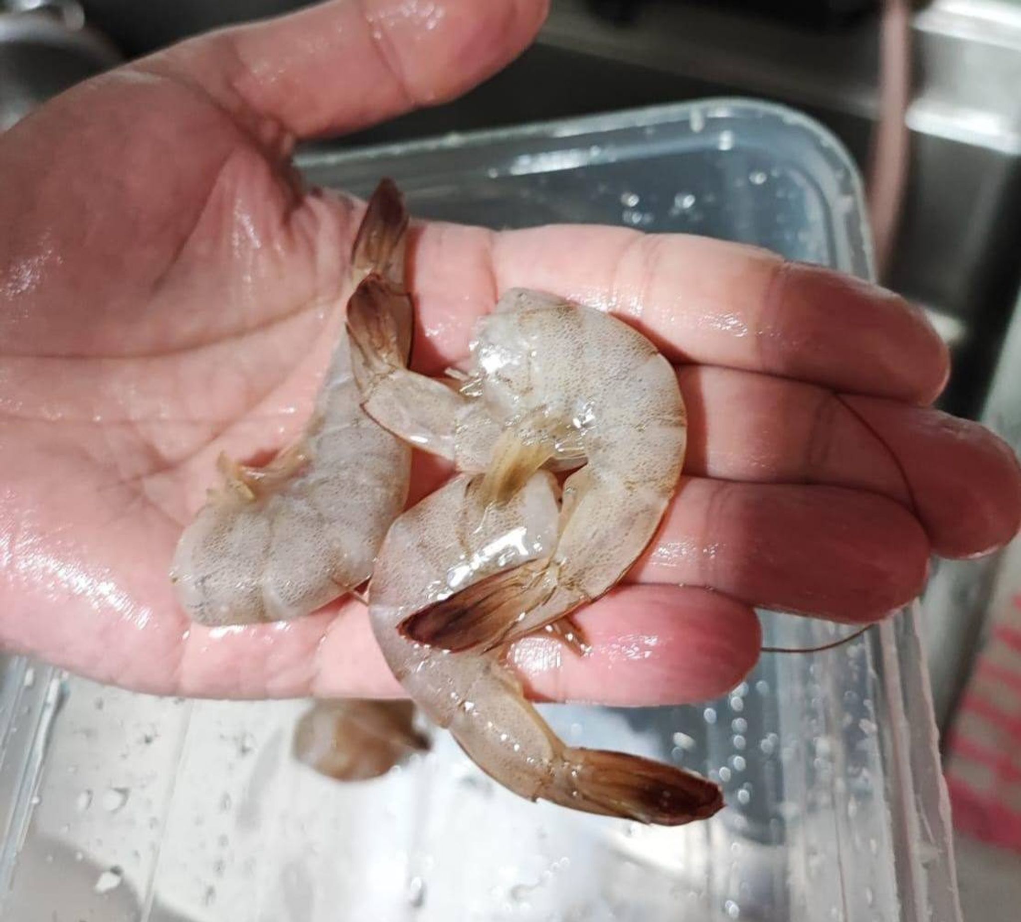 Frozen Prawns (Head removed) - 500g