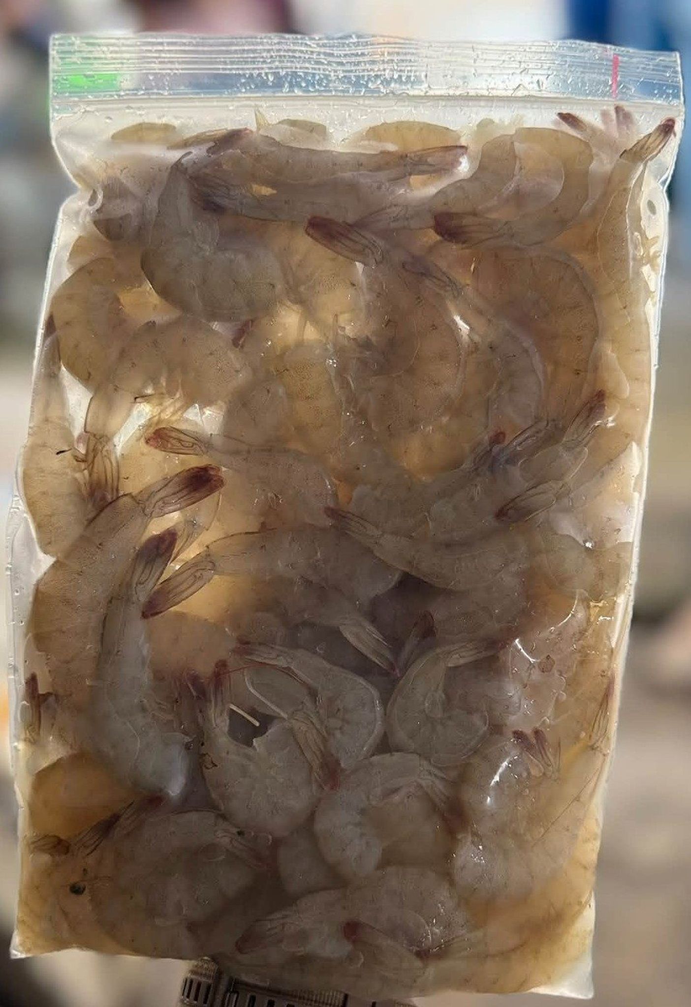 Frozen Prawns (Head removed) - 500g