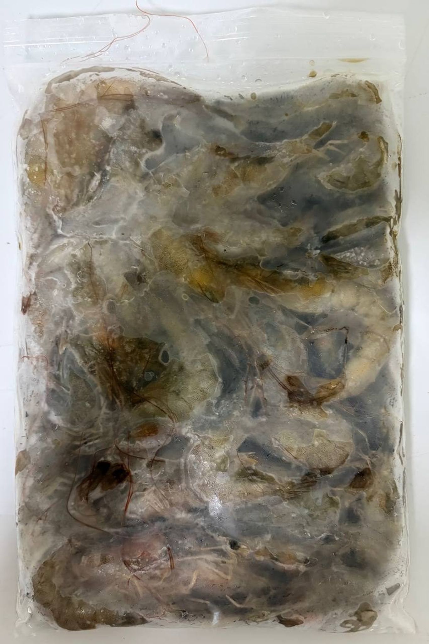 Frozen Prawns - 500g