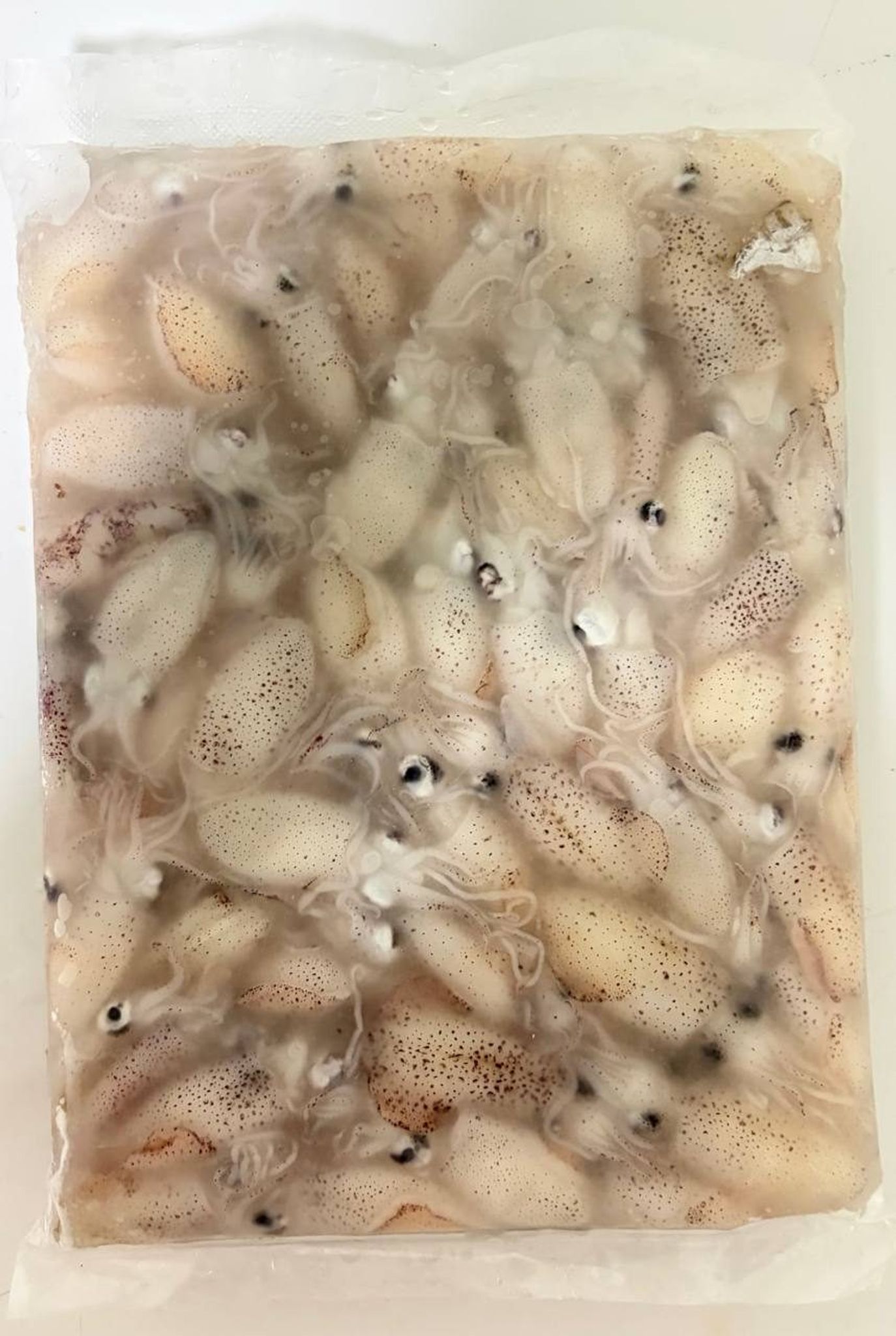 Frozen small sotong - 500g