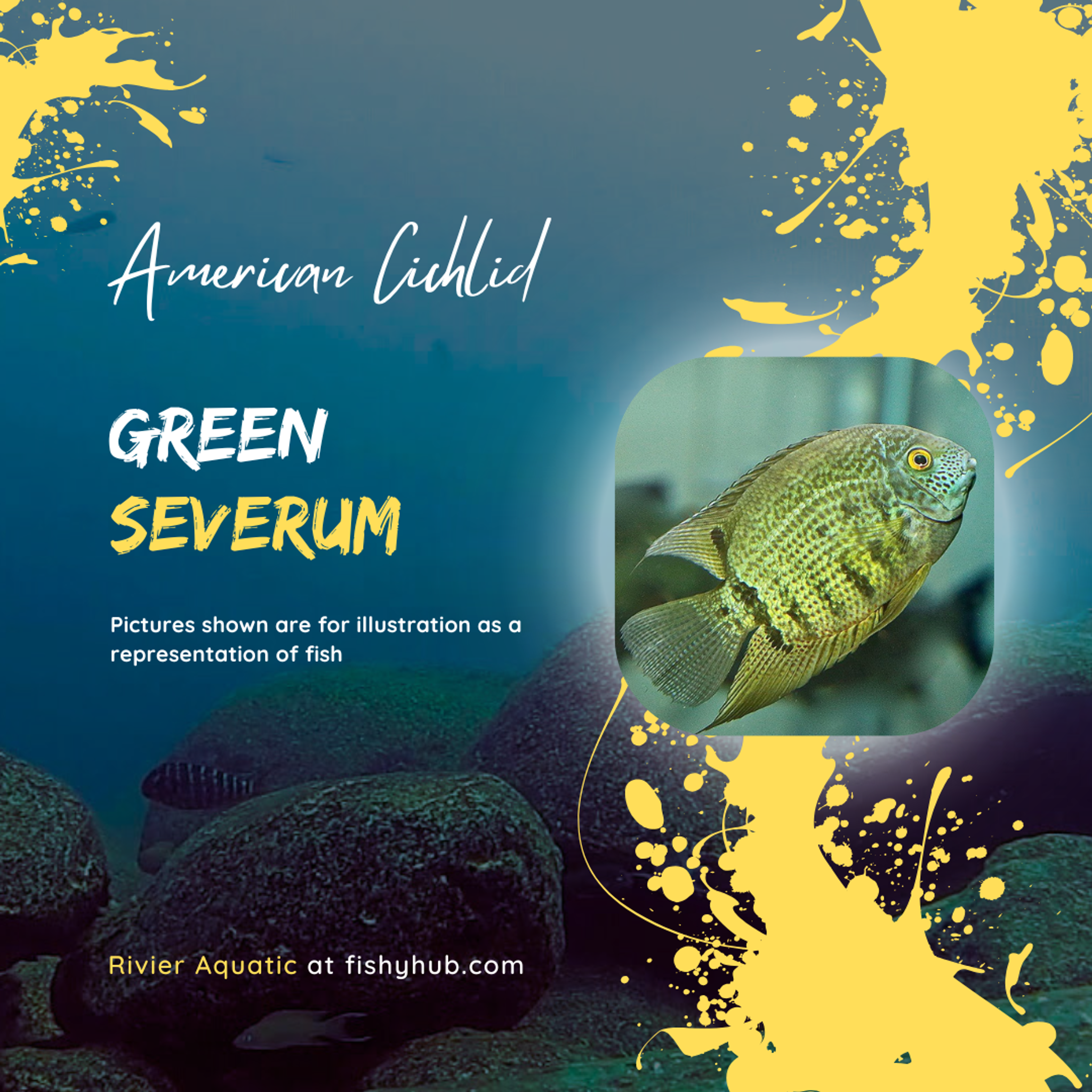Green Severum
